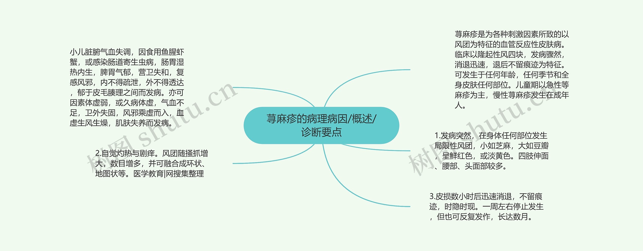 荨麻疹的病理病因/概述/诊断要点思维导图