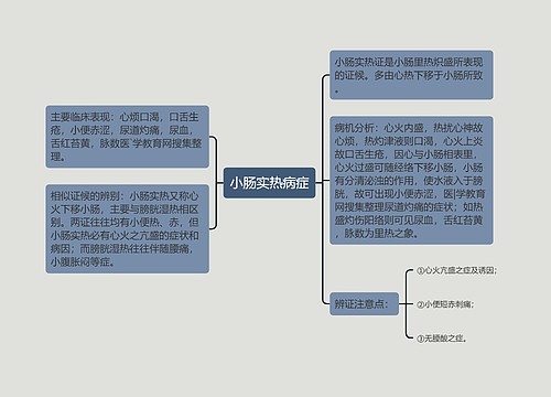 小肠实热病症