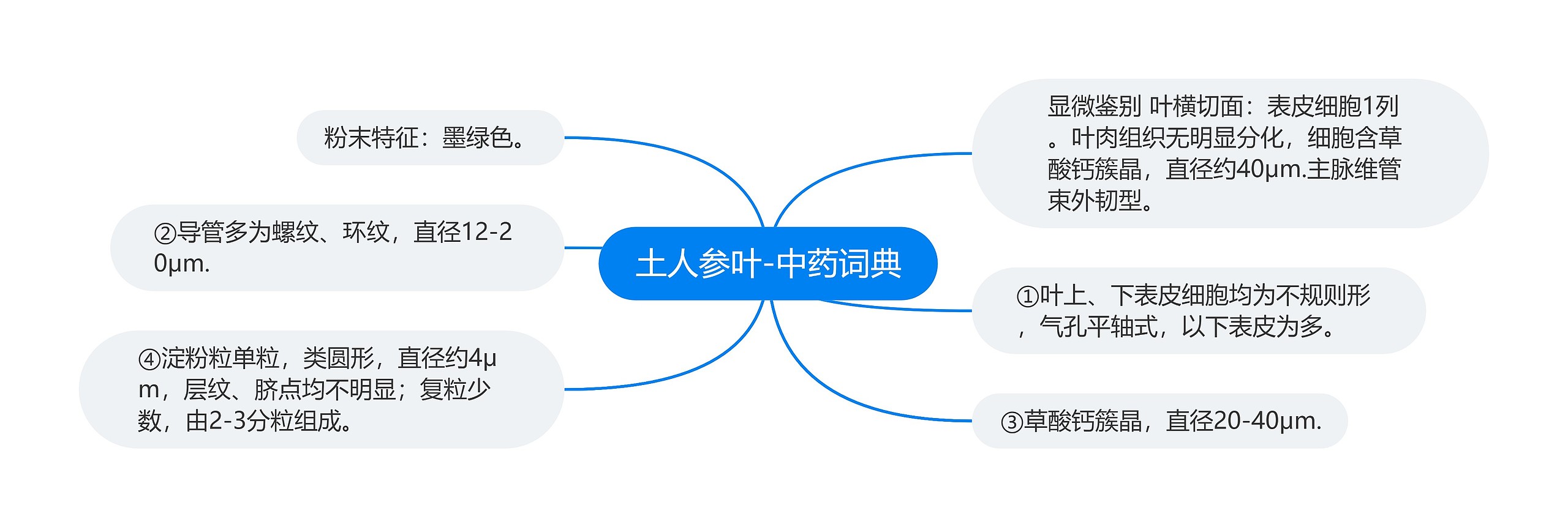 土人参叶-中药词典思维导图