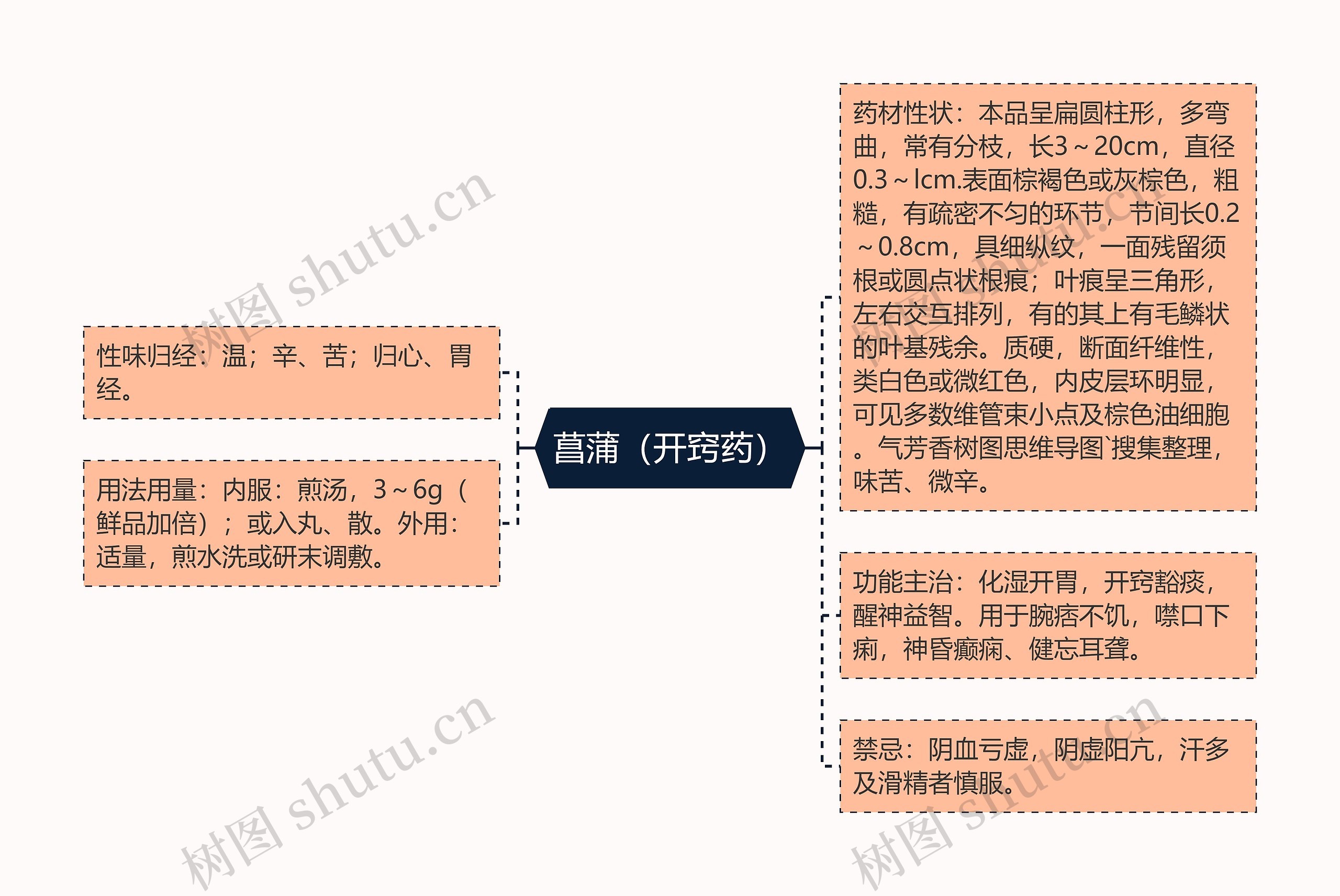 菖蒲（开窍药）思维导图