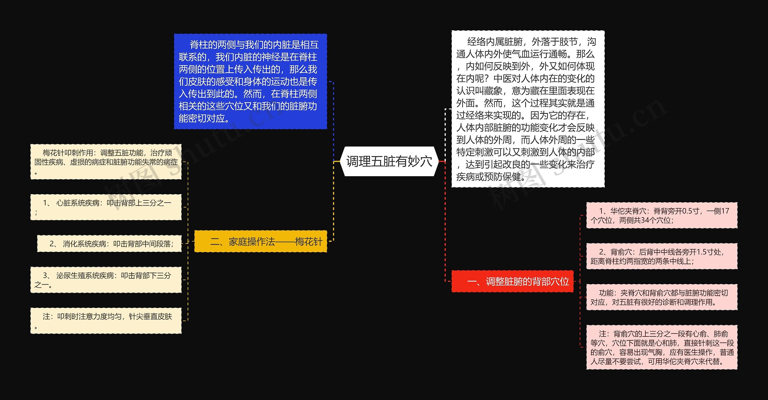 调理五脏有妙穴思维导图