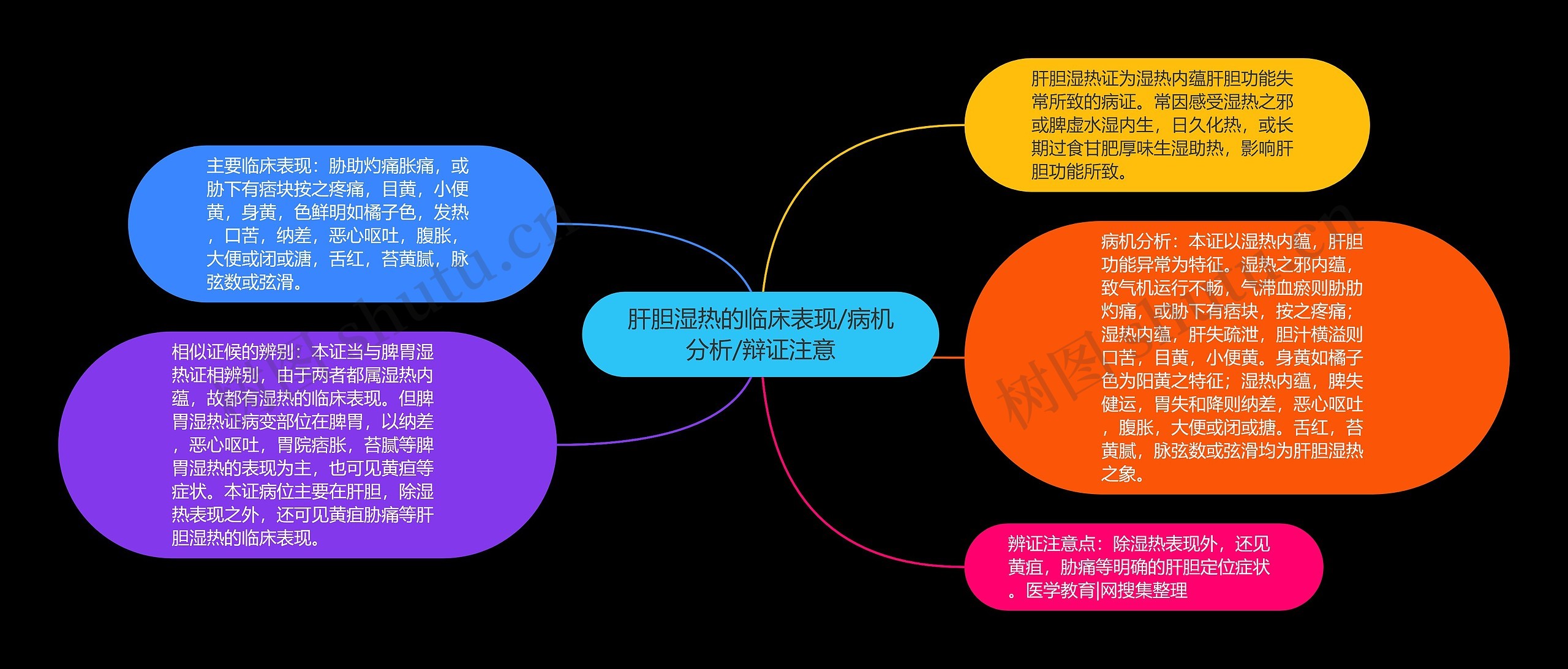 肝胆湿热的临床表现/病机分析/辩证注意思维导图