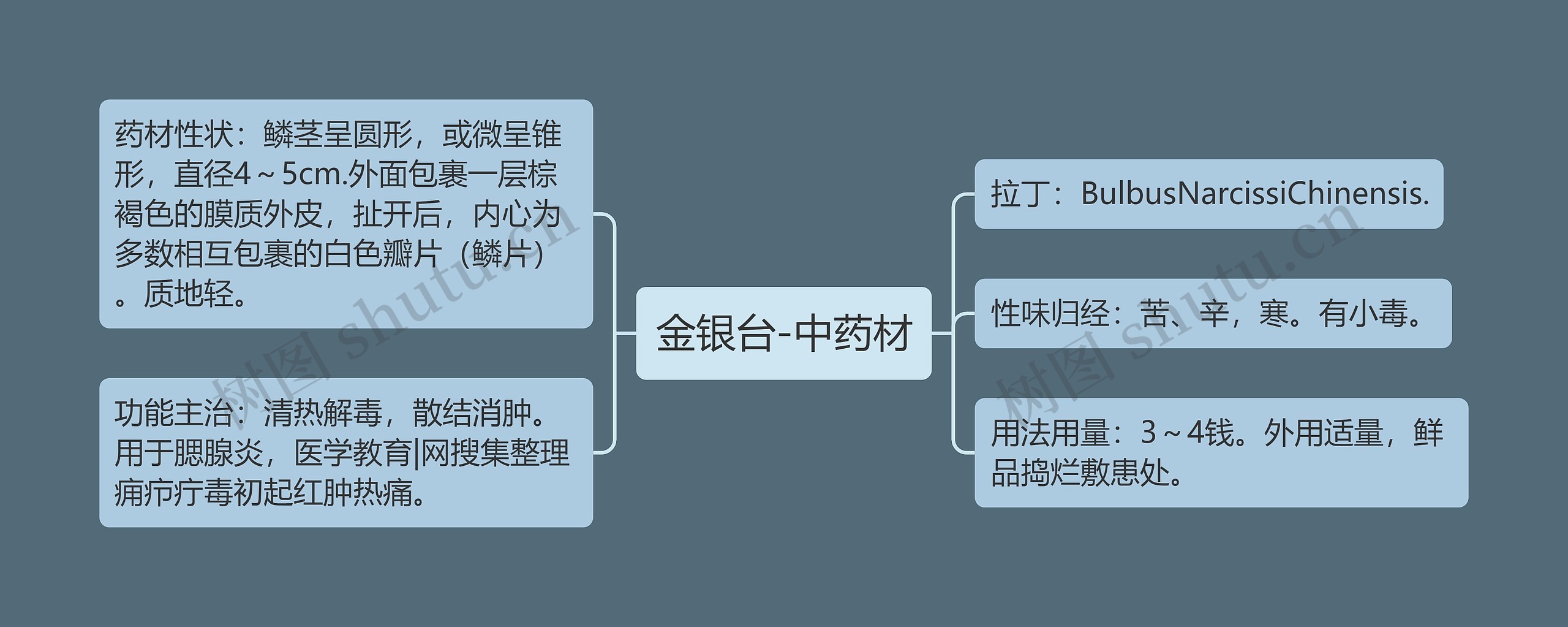 金银台-中药材思维导图