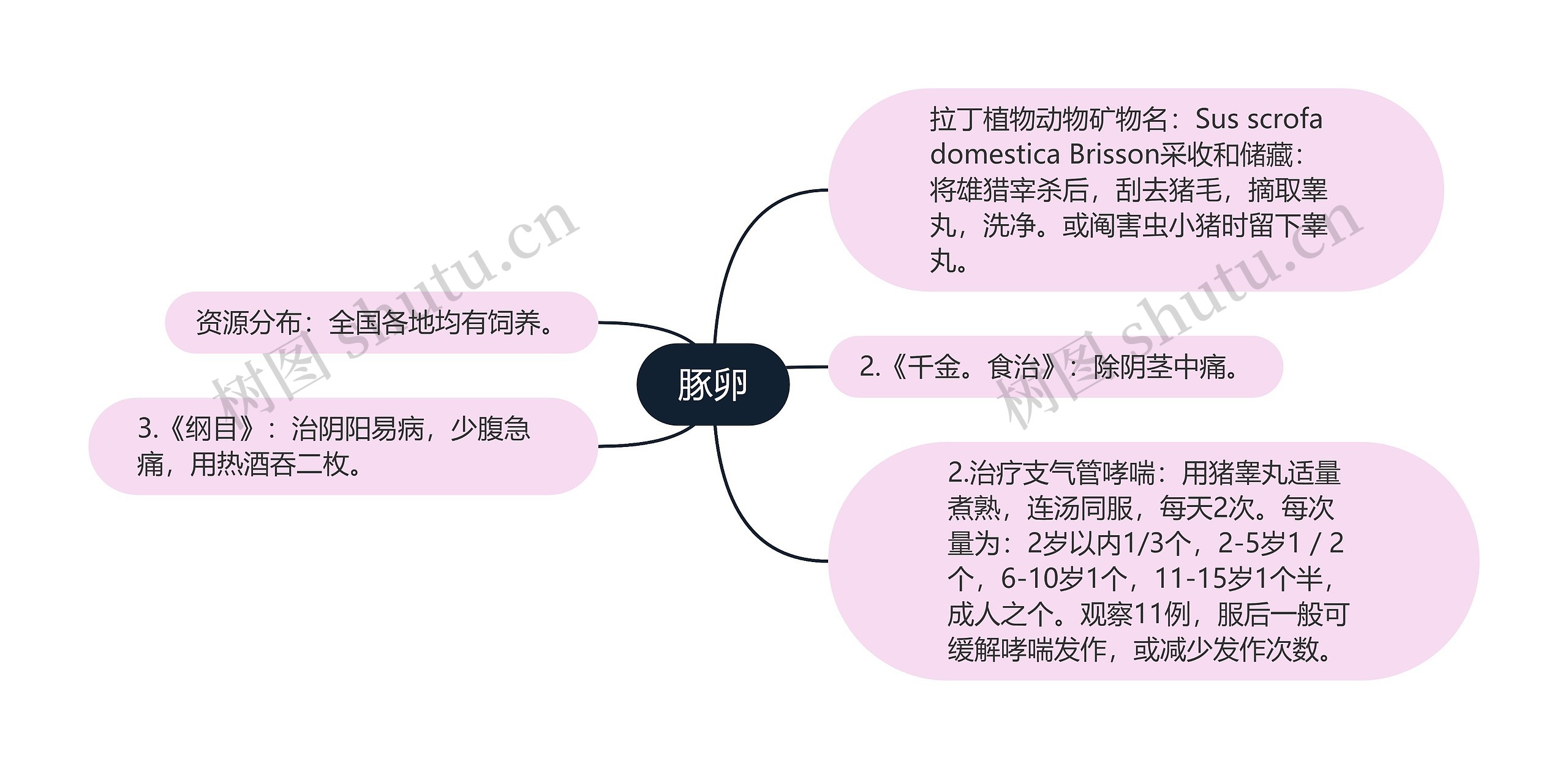 豚卵思维导图