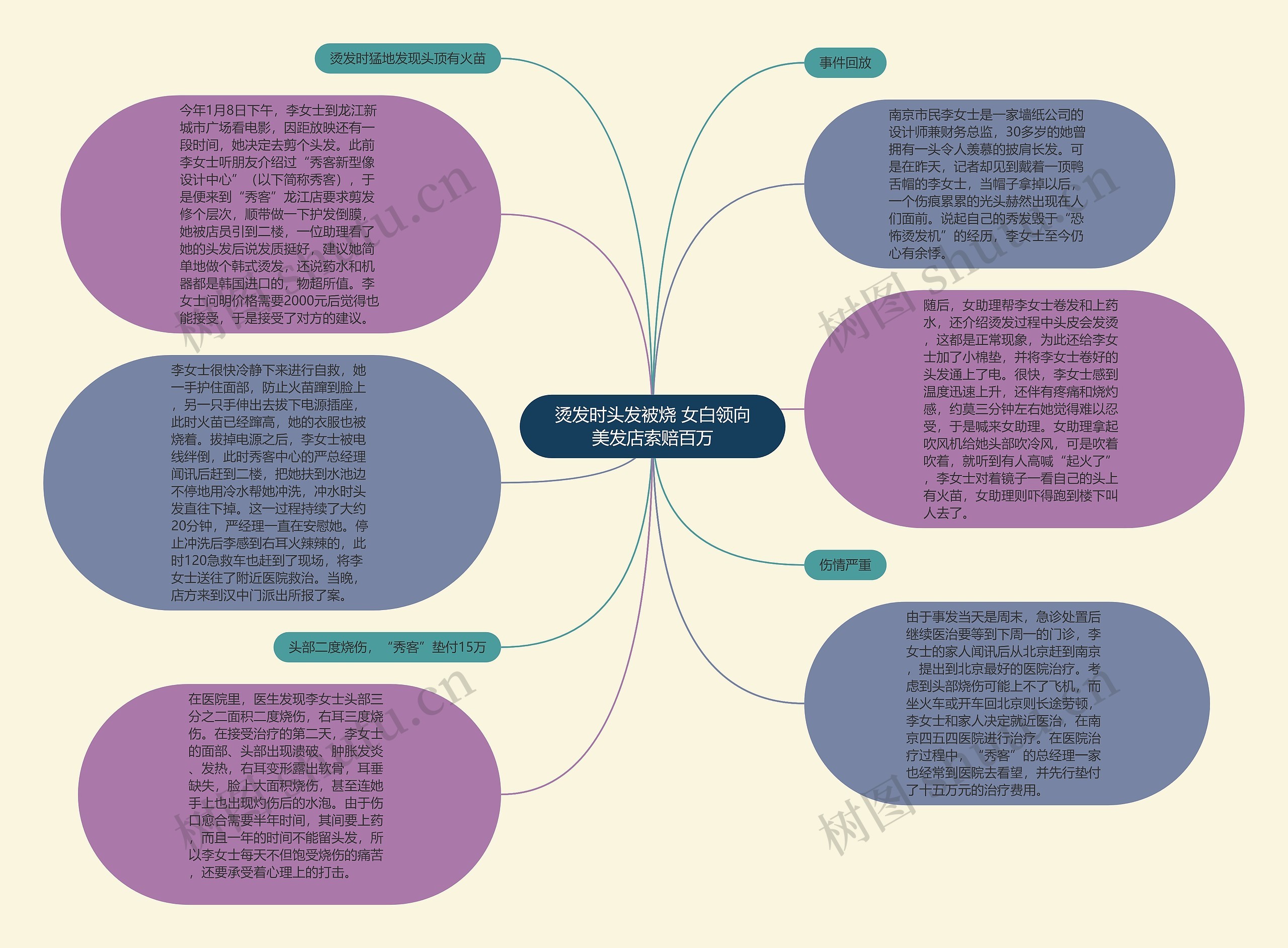 烫发时头发被烧 女白领向美发店索赔百万思维导图