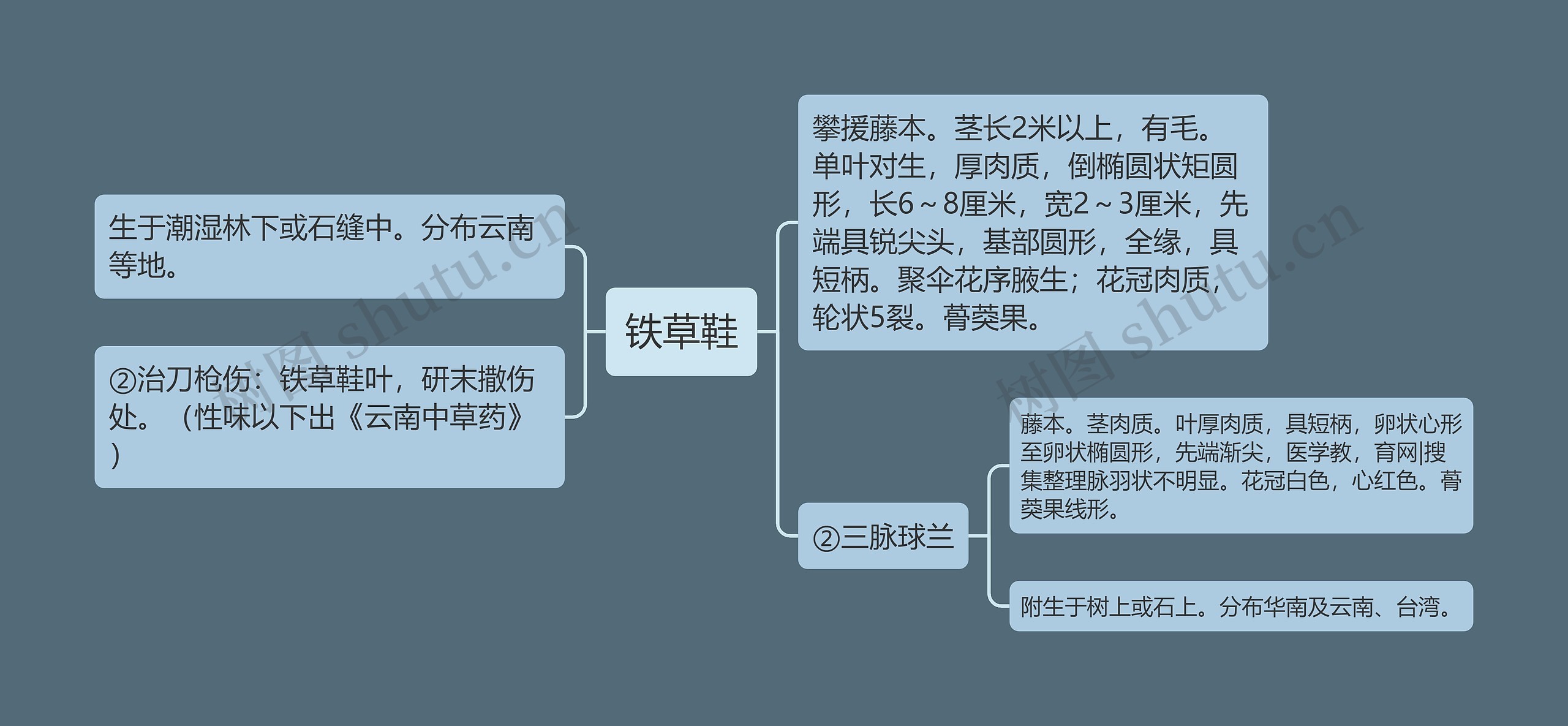 铁草鞋思维导图