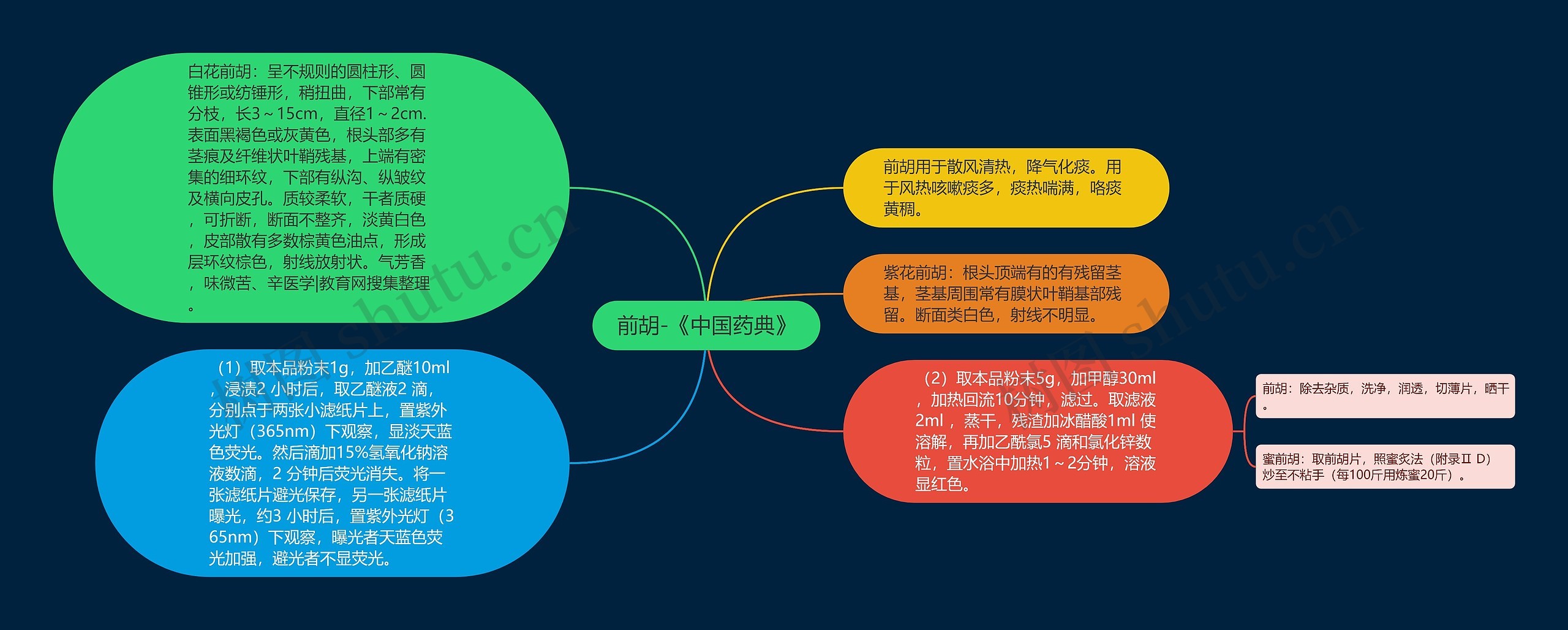 前胡-《中国药典》思维导图