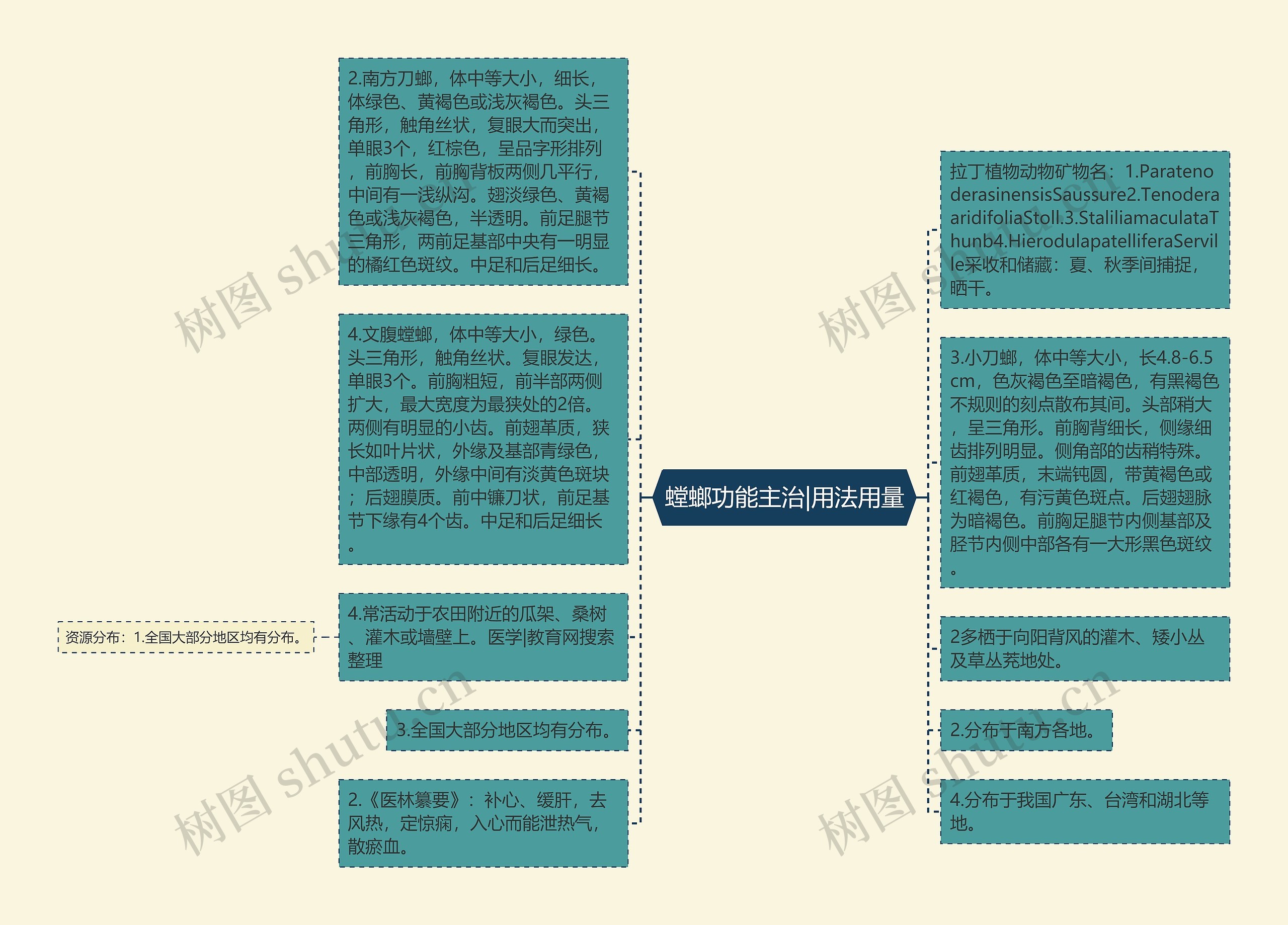 螳螂功能主治|用法用量思维导图