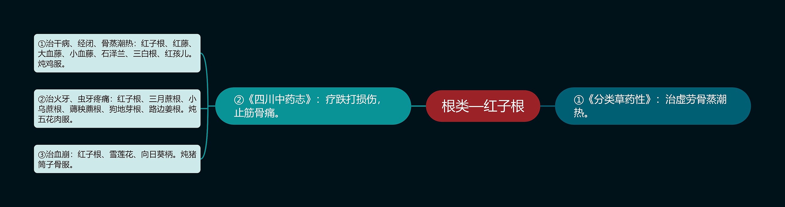 根类—红子根思维导图