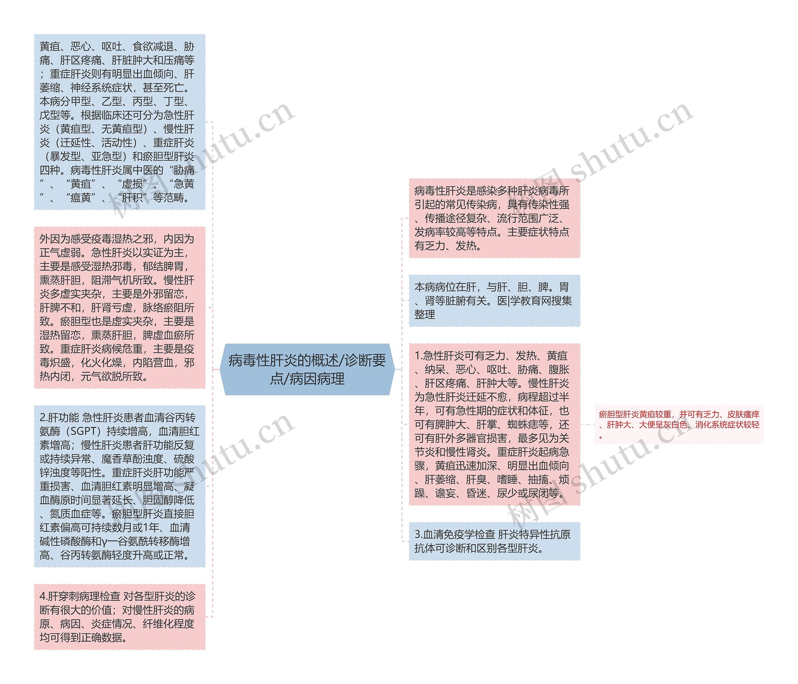 病毒性肝炎的概述/诊断要点/病因病理思维导图