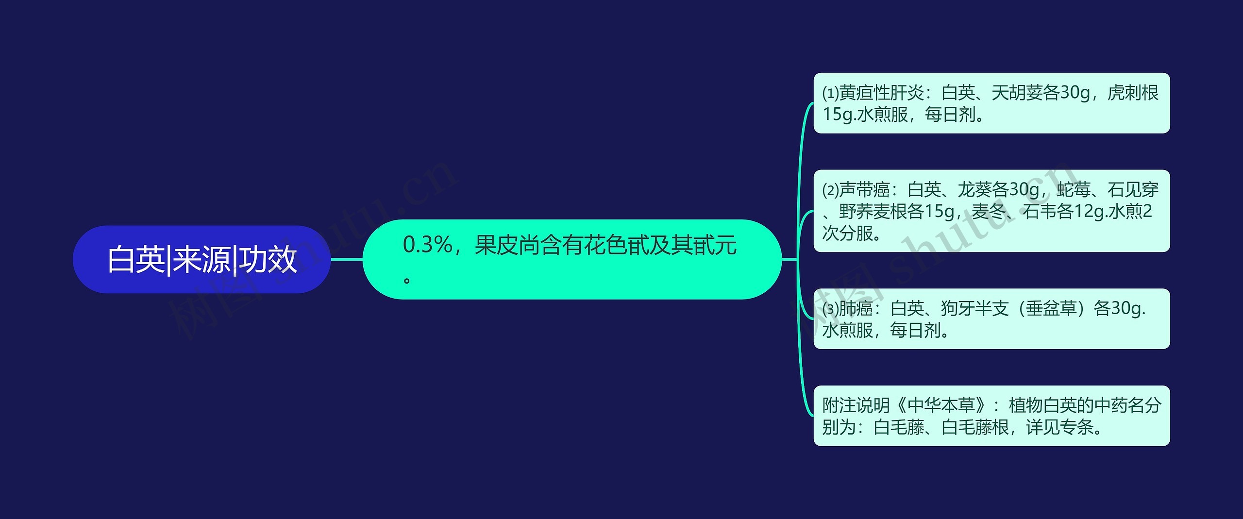 白英|来源|功效思维导图