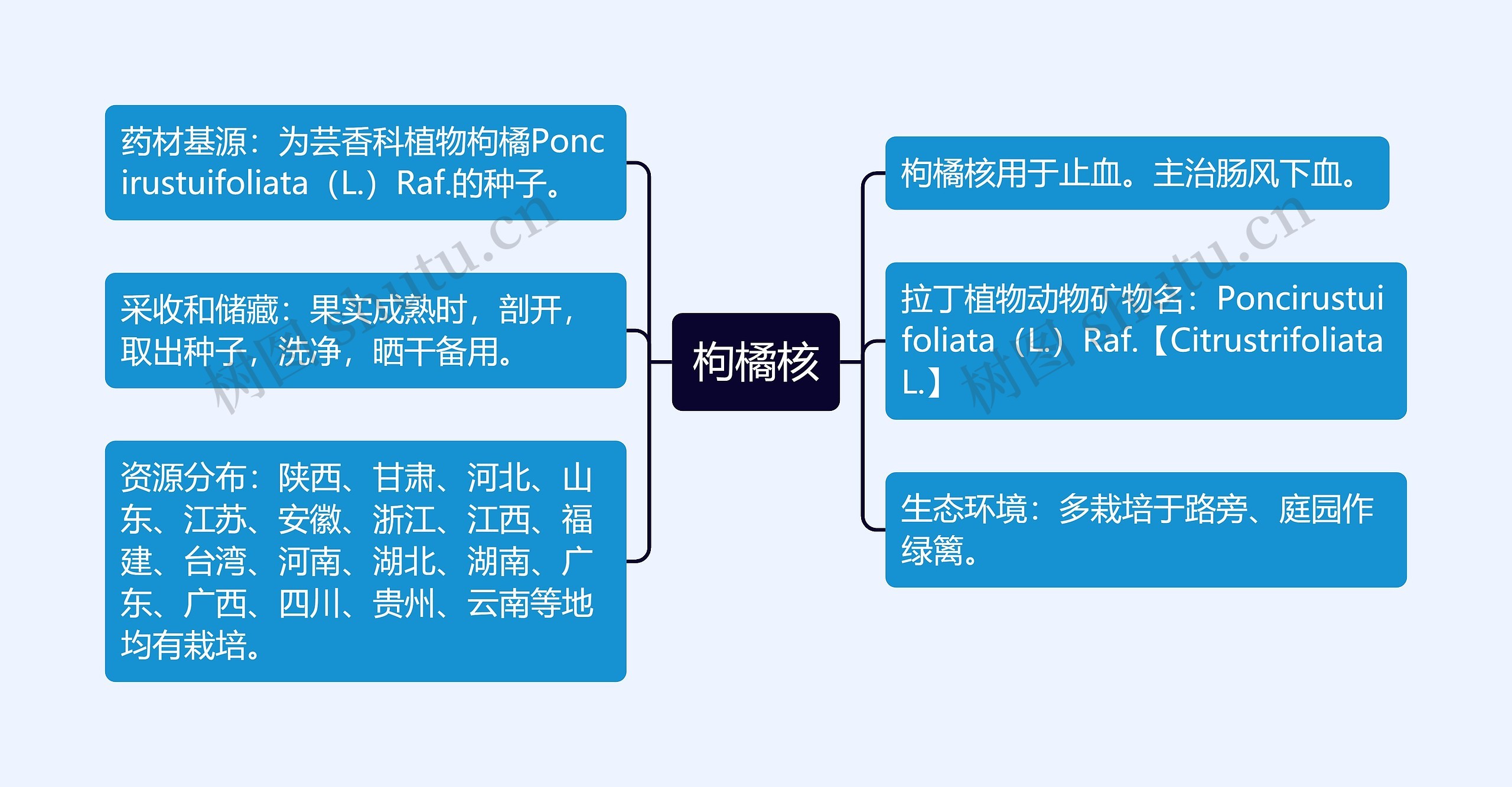 枸橘核思维导图