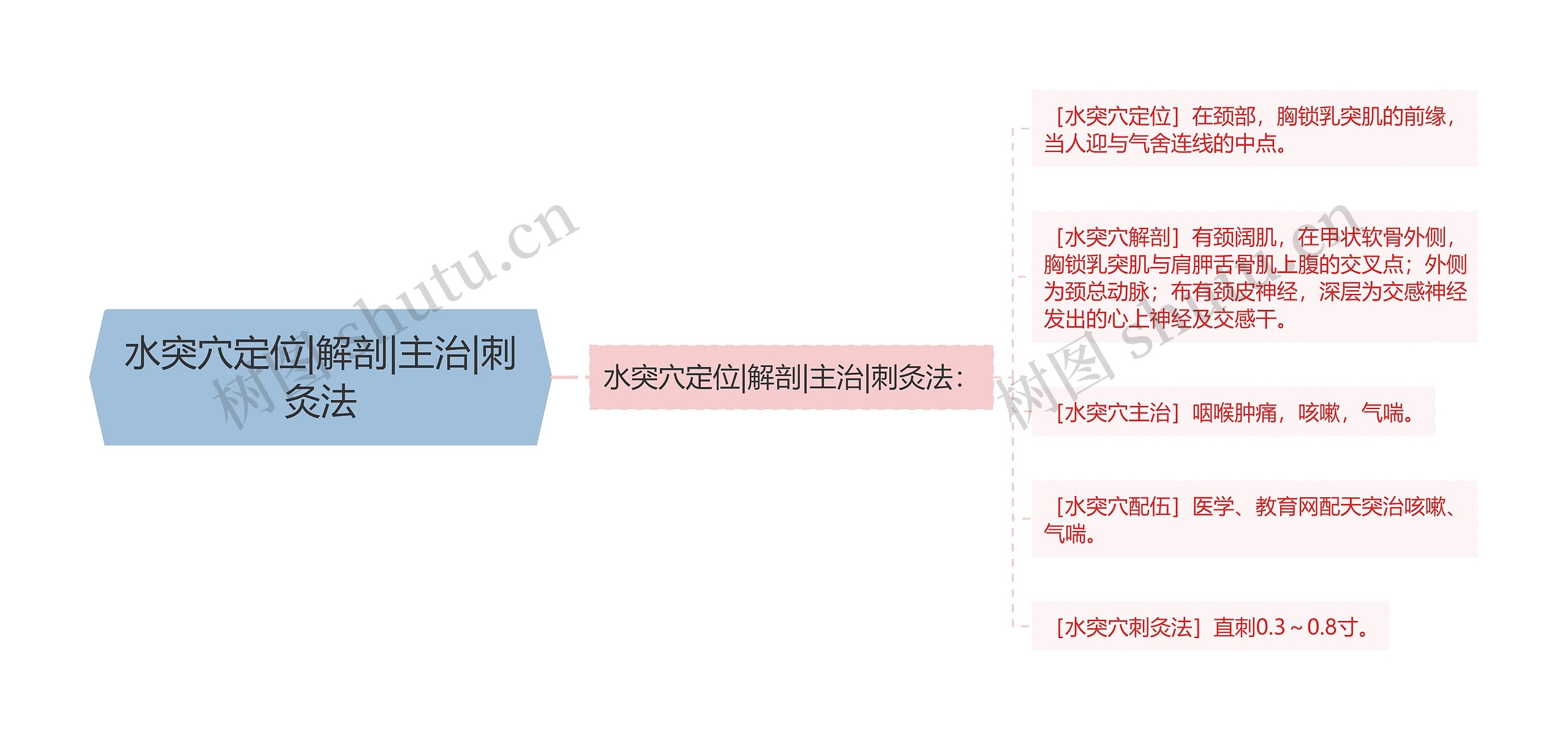 水突穴定位|解剖|主治|刺灸法思维导图