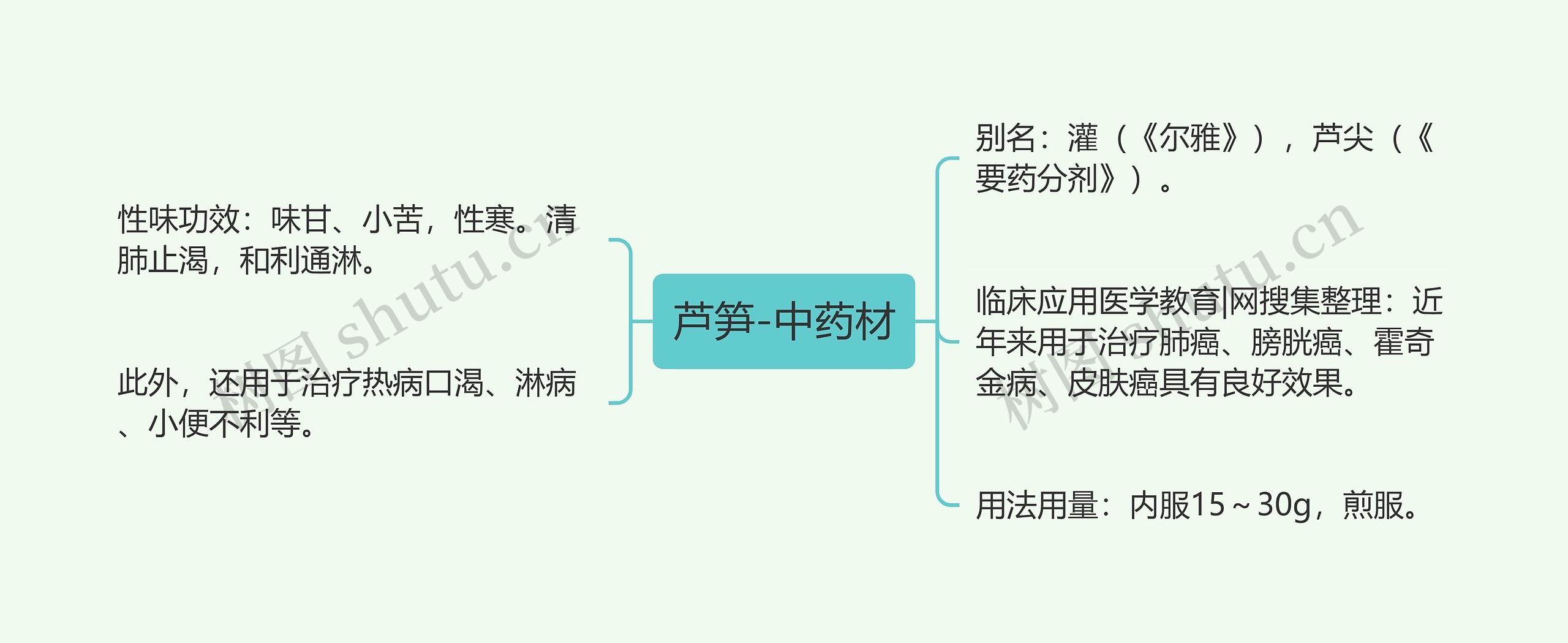 芦笋-中药材思维导图