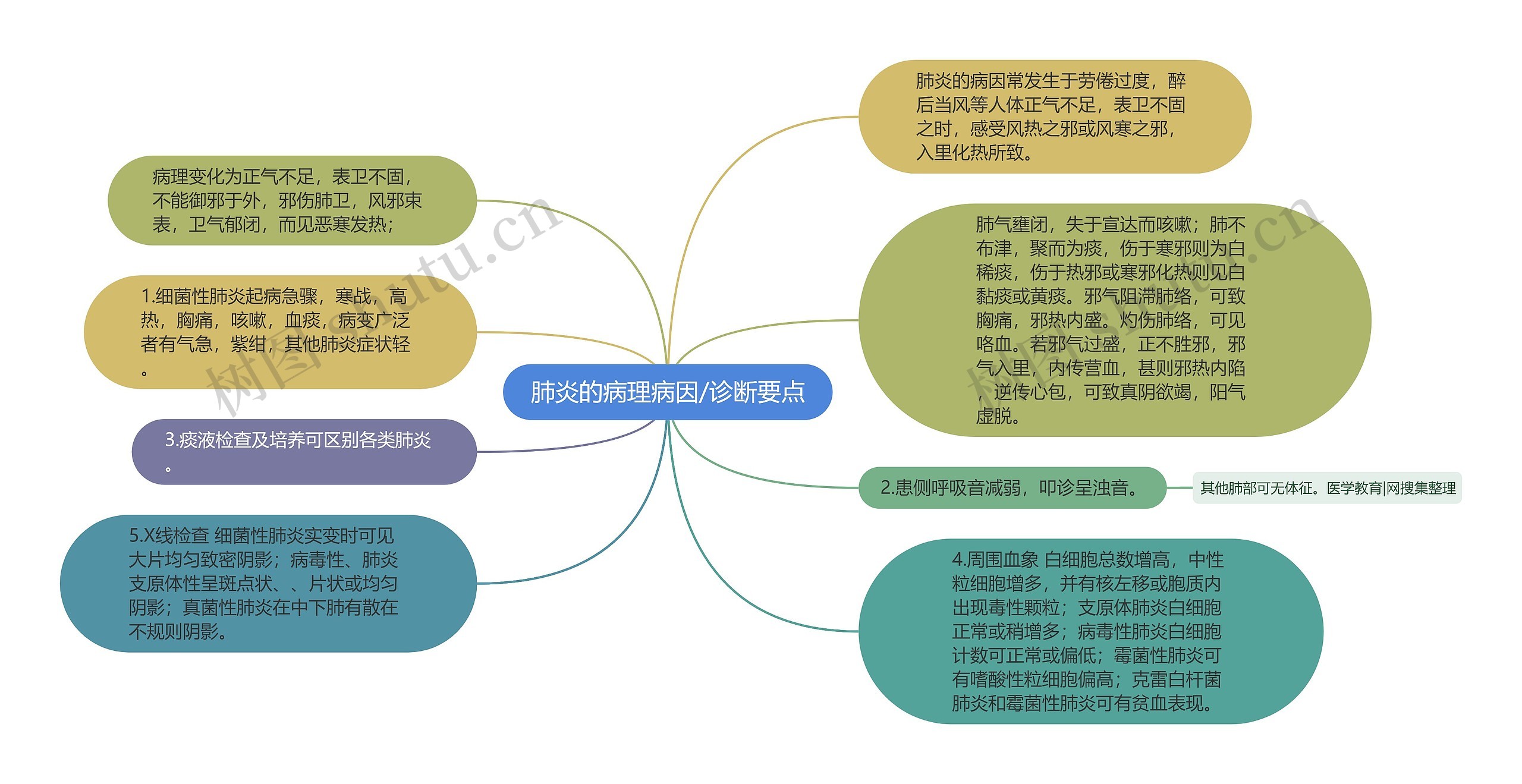 肺炎的病理病因/诊断要点思维导图