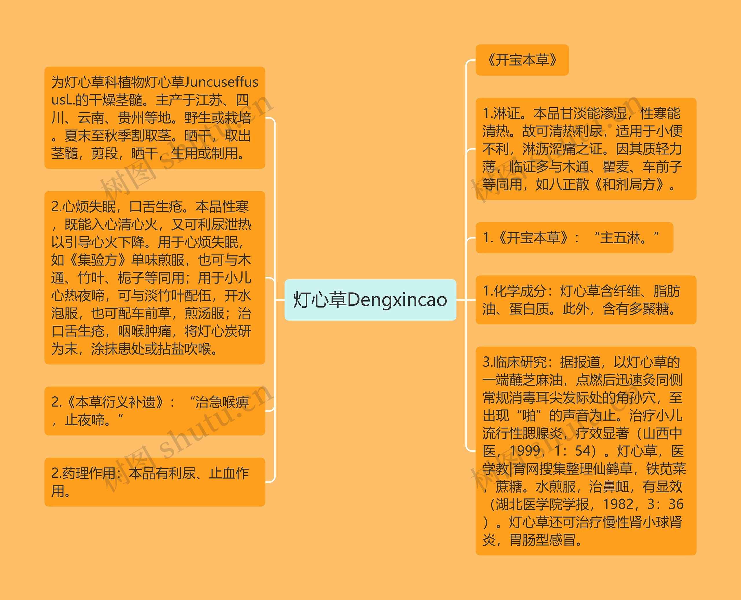 灯心草Dengxincao思维导图