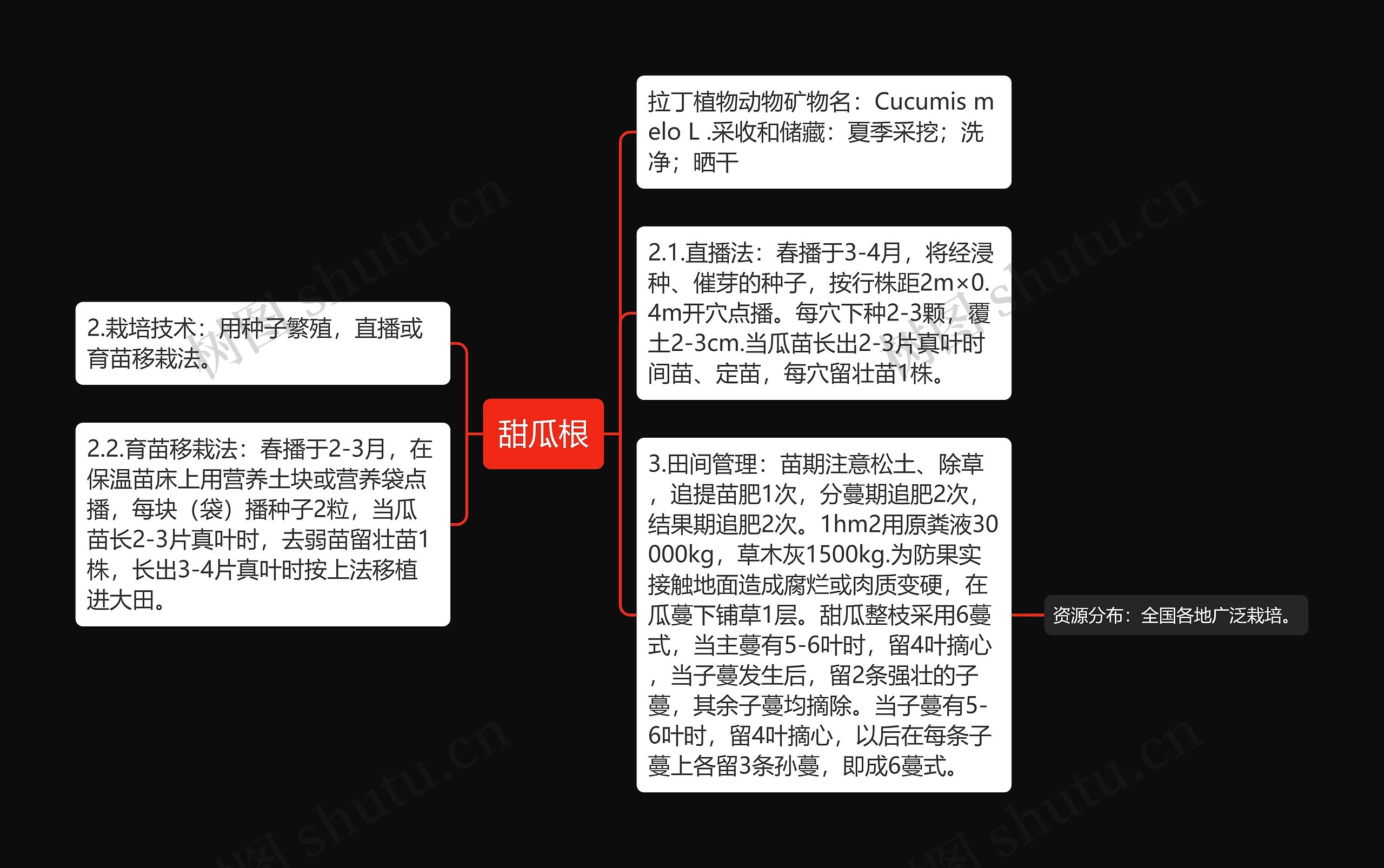 甜瓜根思维导图