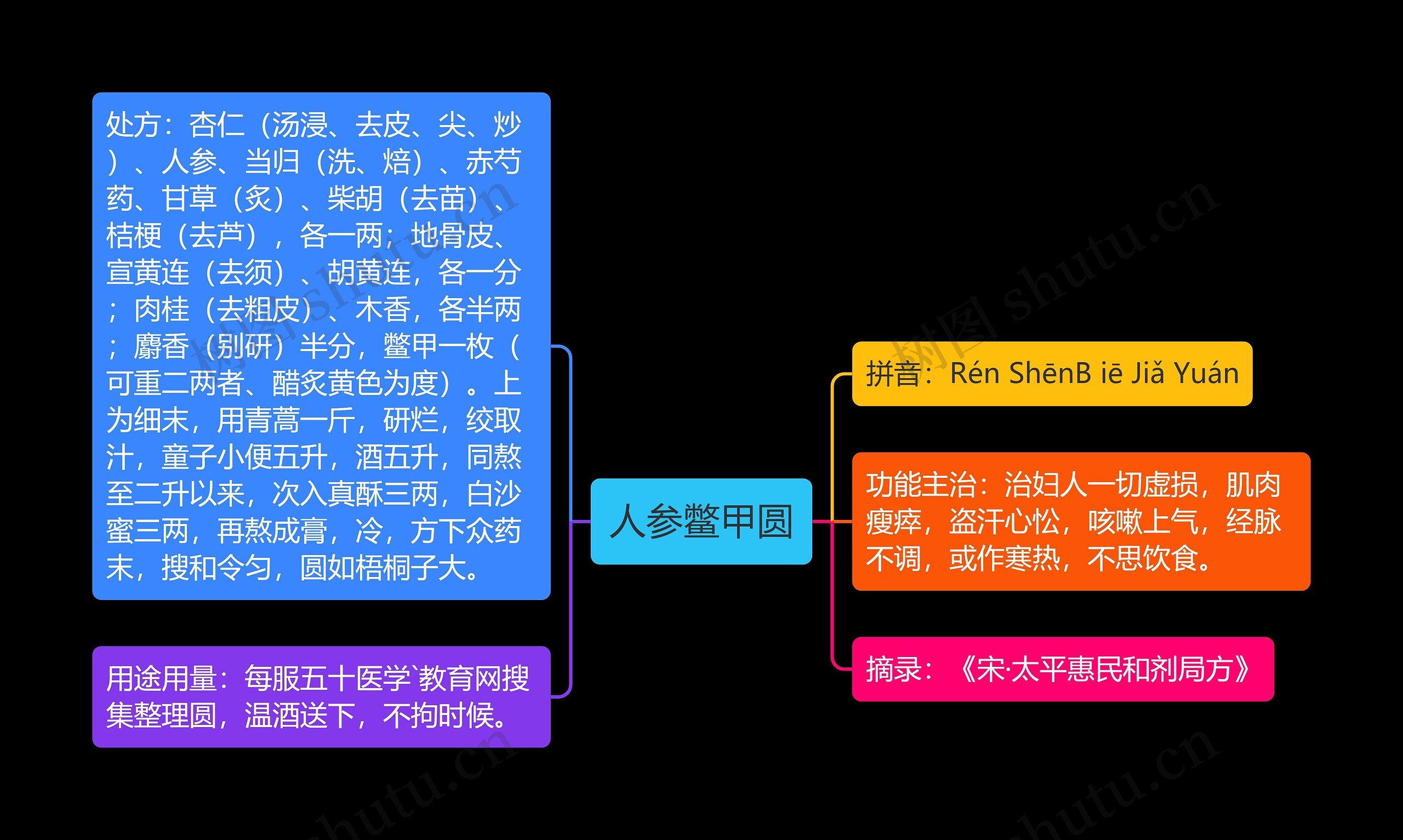 人参鳖甲圆思维导图