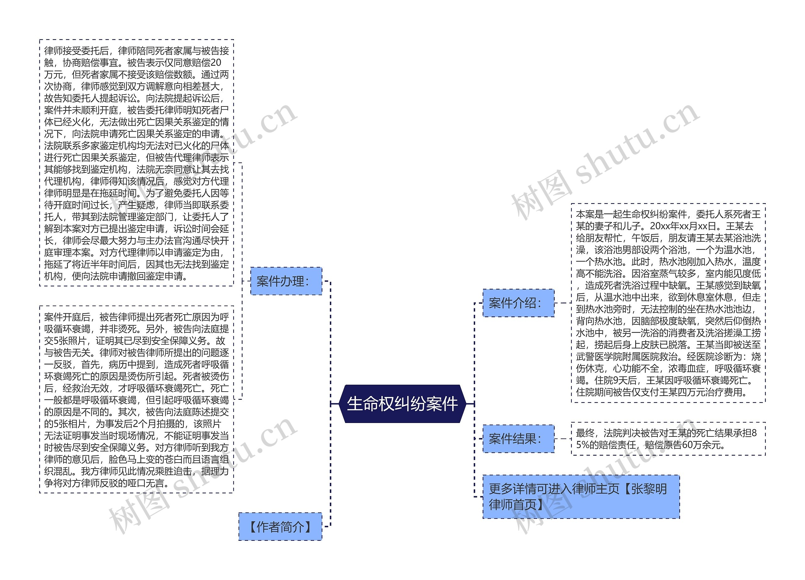 生命权纠纷案件思维导图