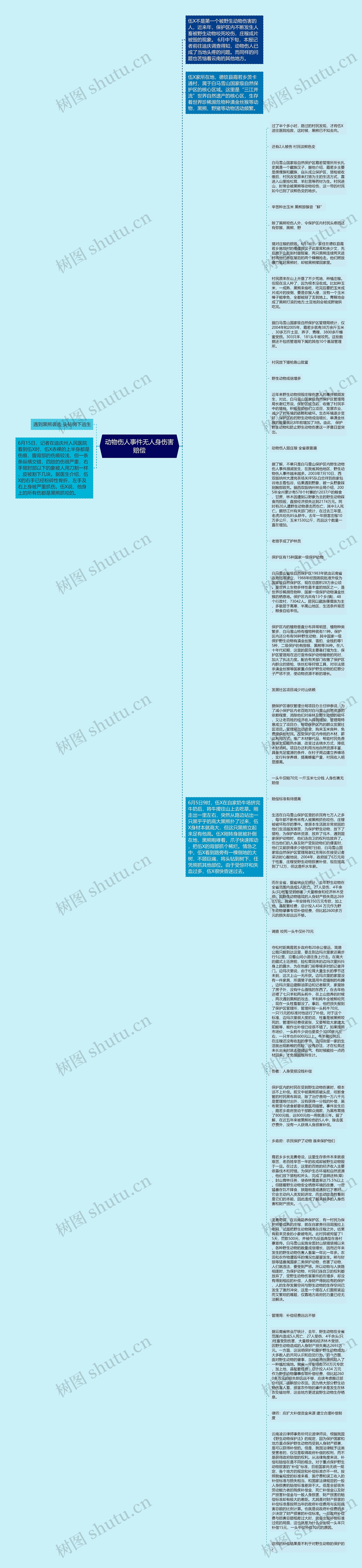 动物伤人事件无人身伤害赔偿思维导图