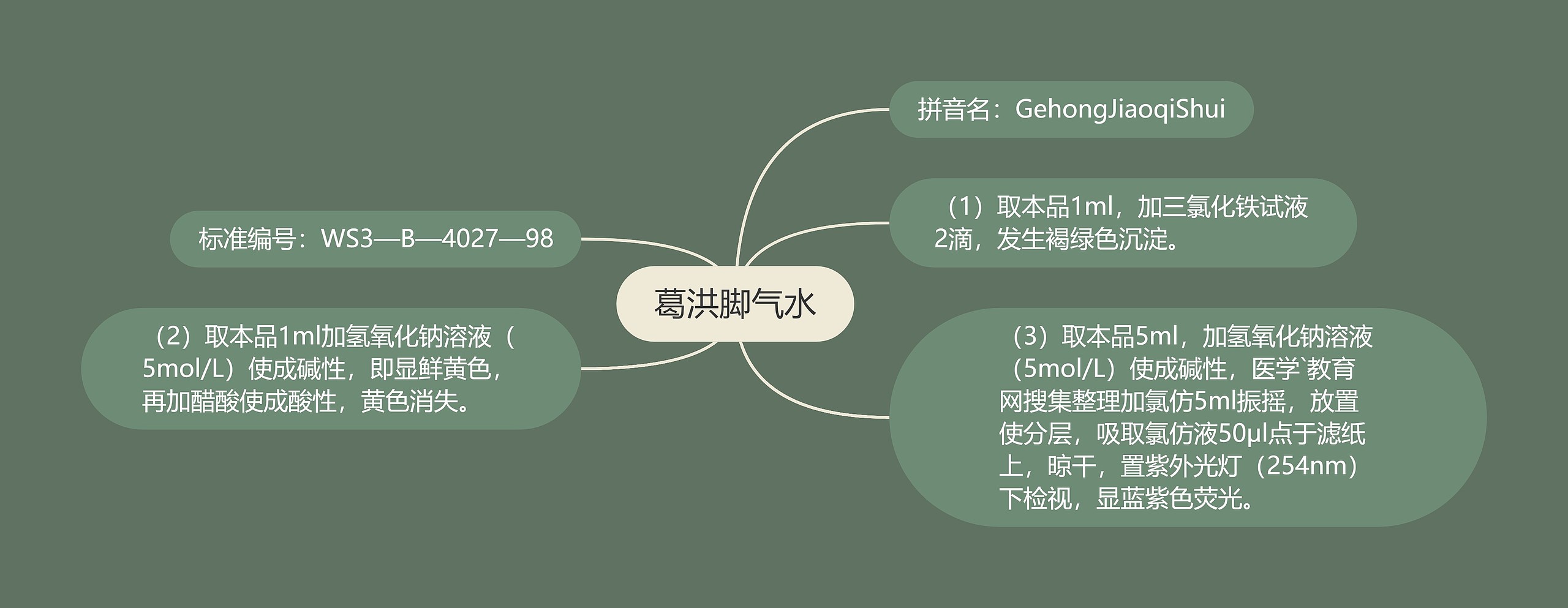 葛洪脚气水思维导图