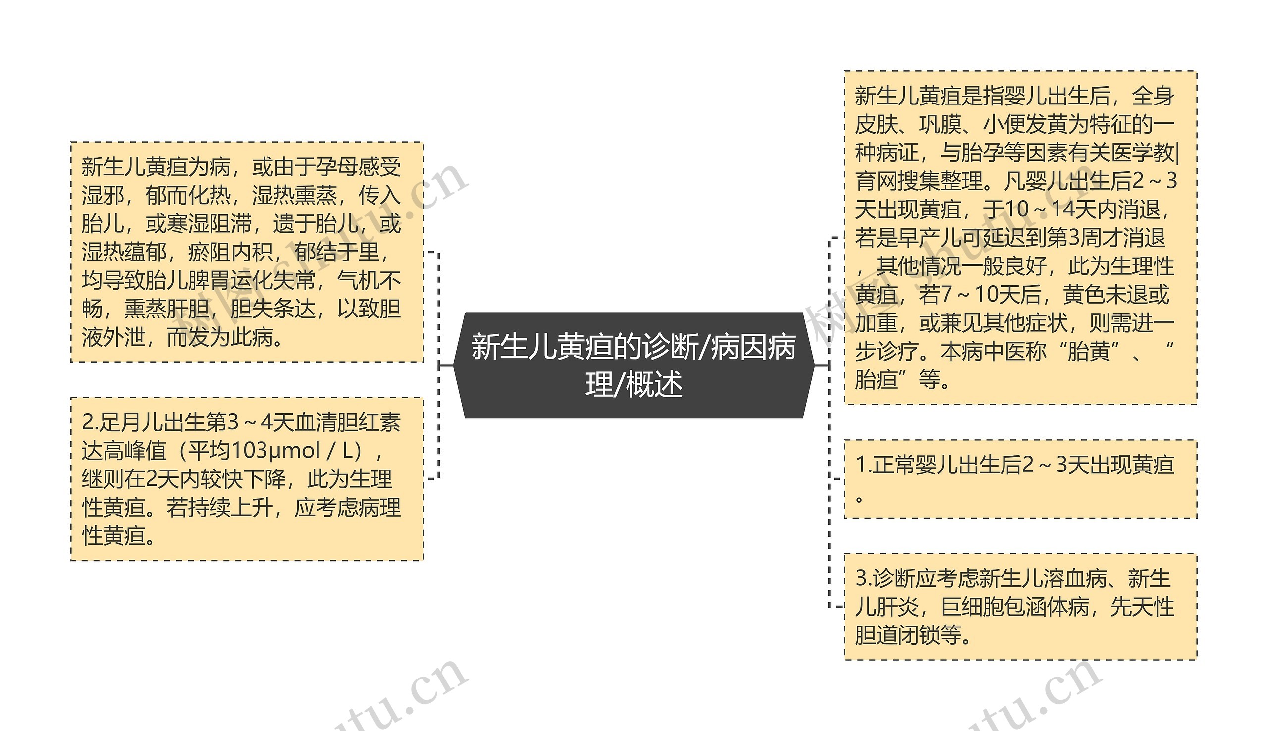 新生儿黄疸的诊断/病因病理/概述思维导图