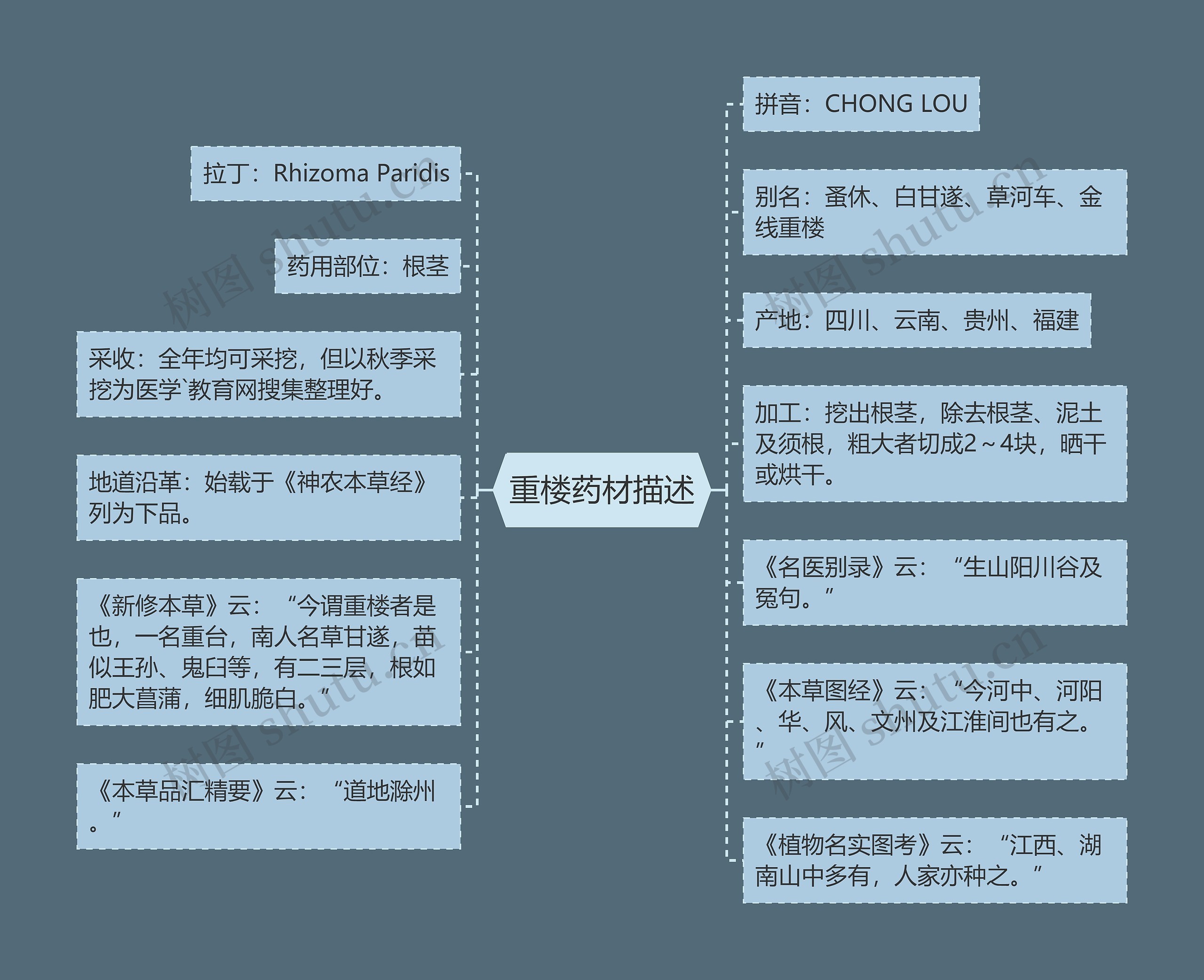 重楼药材描述思维导图