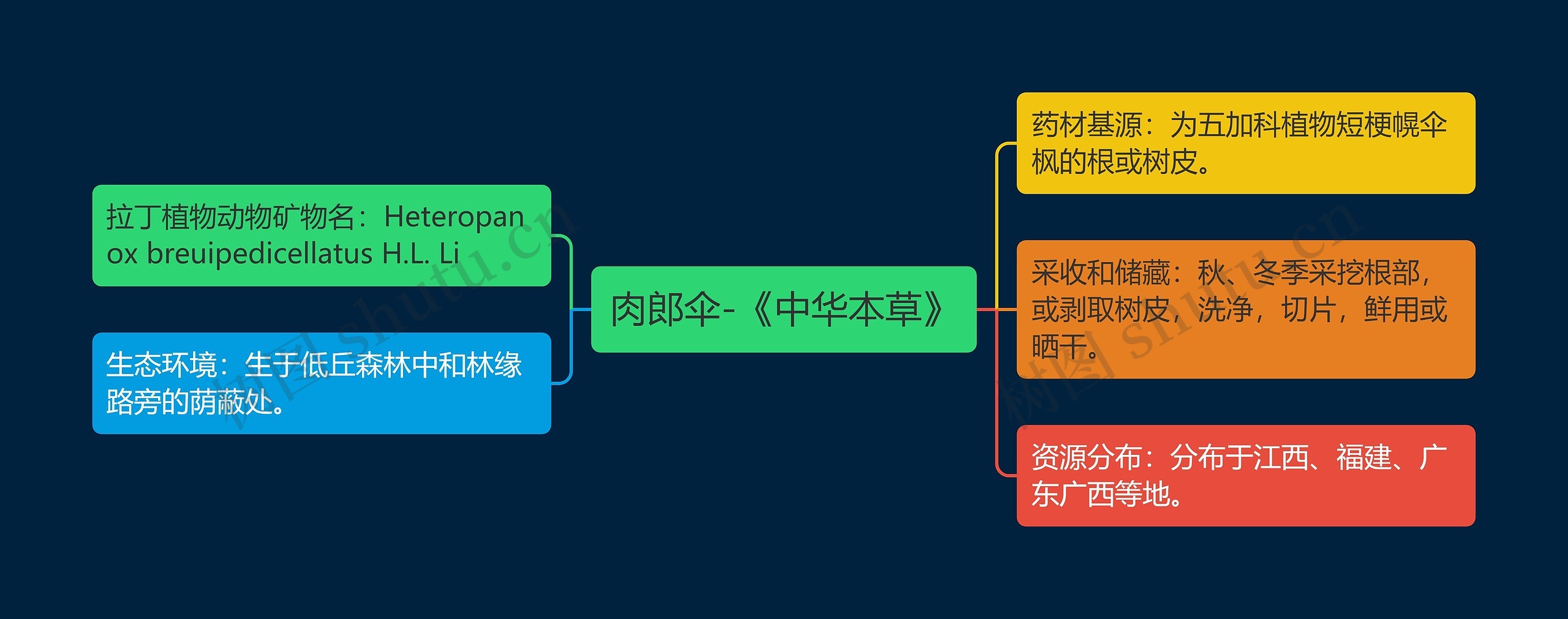 肉郎伞-《中华本草》思维导图