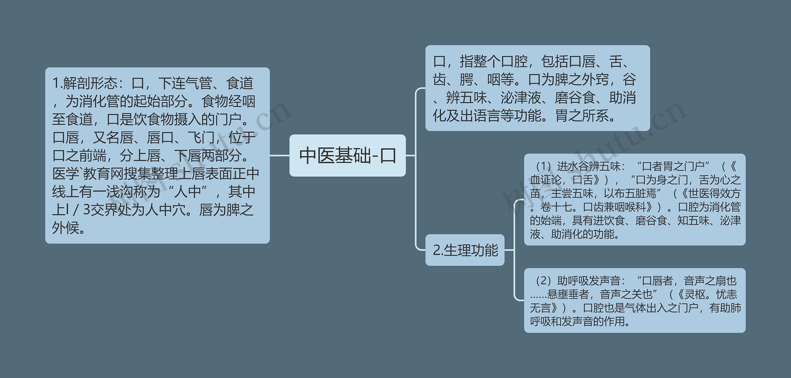 中医基础-口思维导图