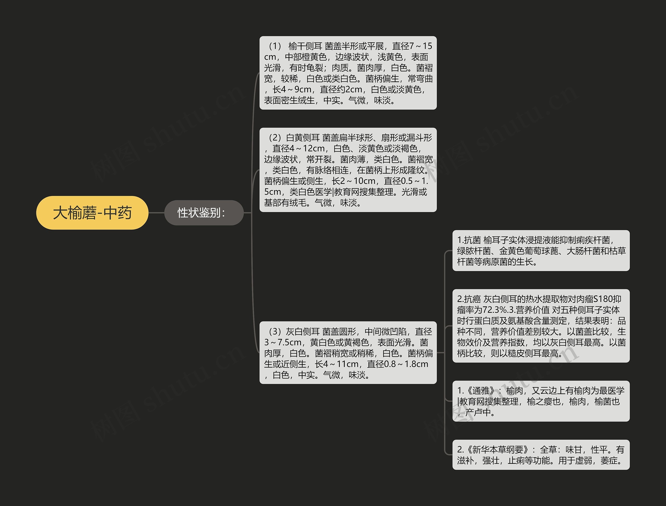 大榆蘑-中药思维导图