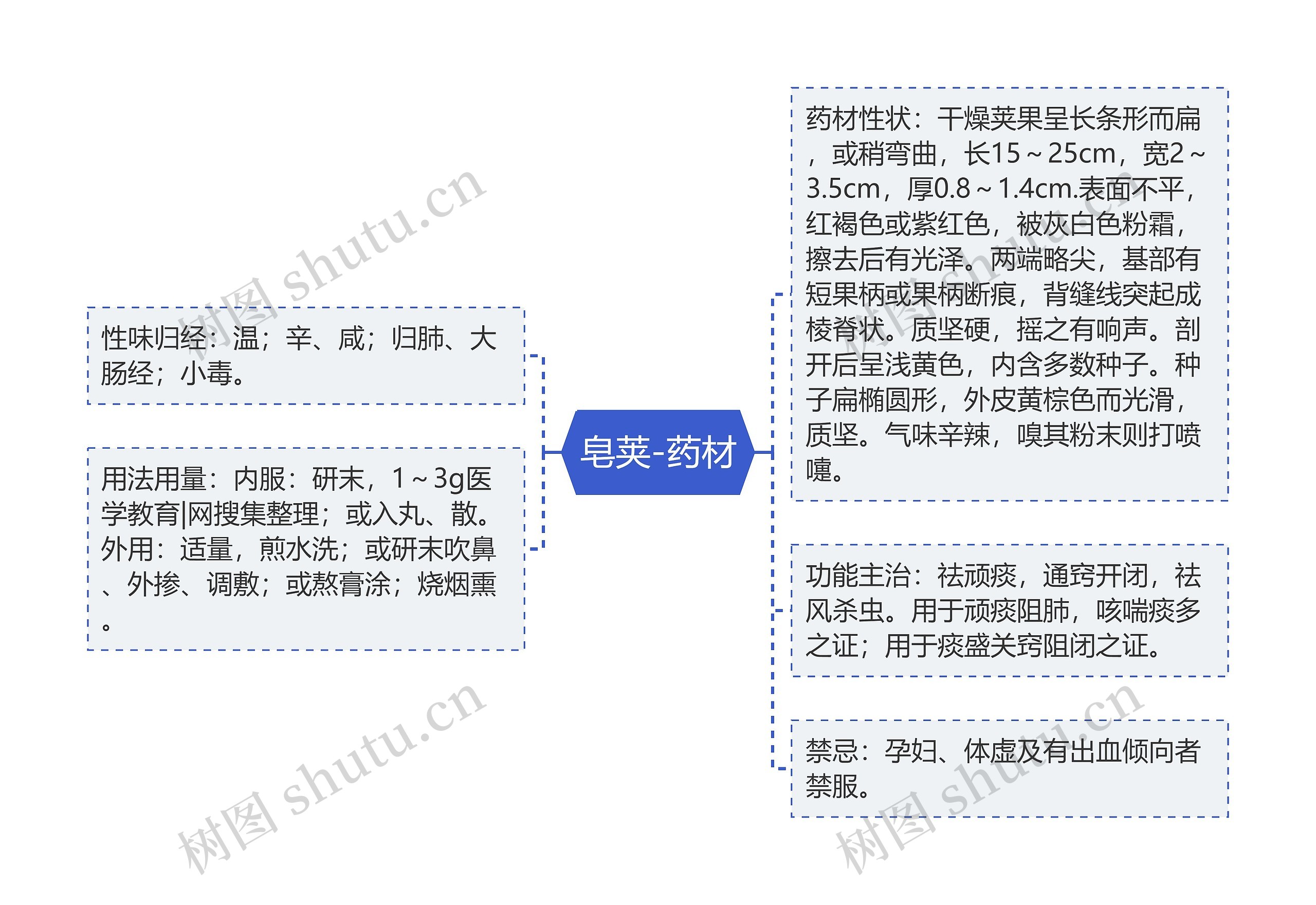皂荚-药材思维导图