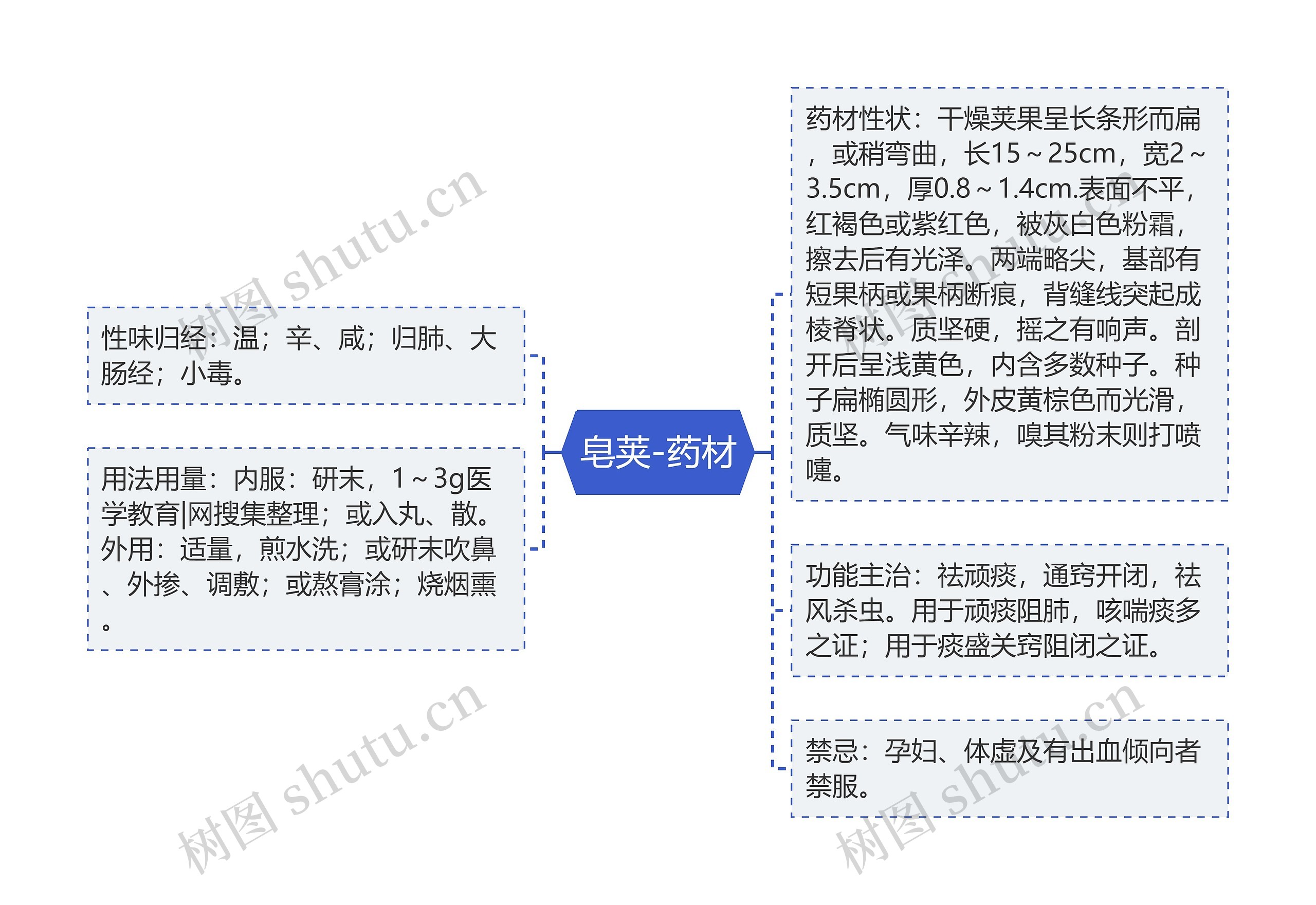 皂荚-药材 皂荚-药材