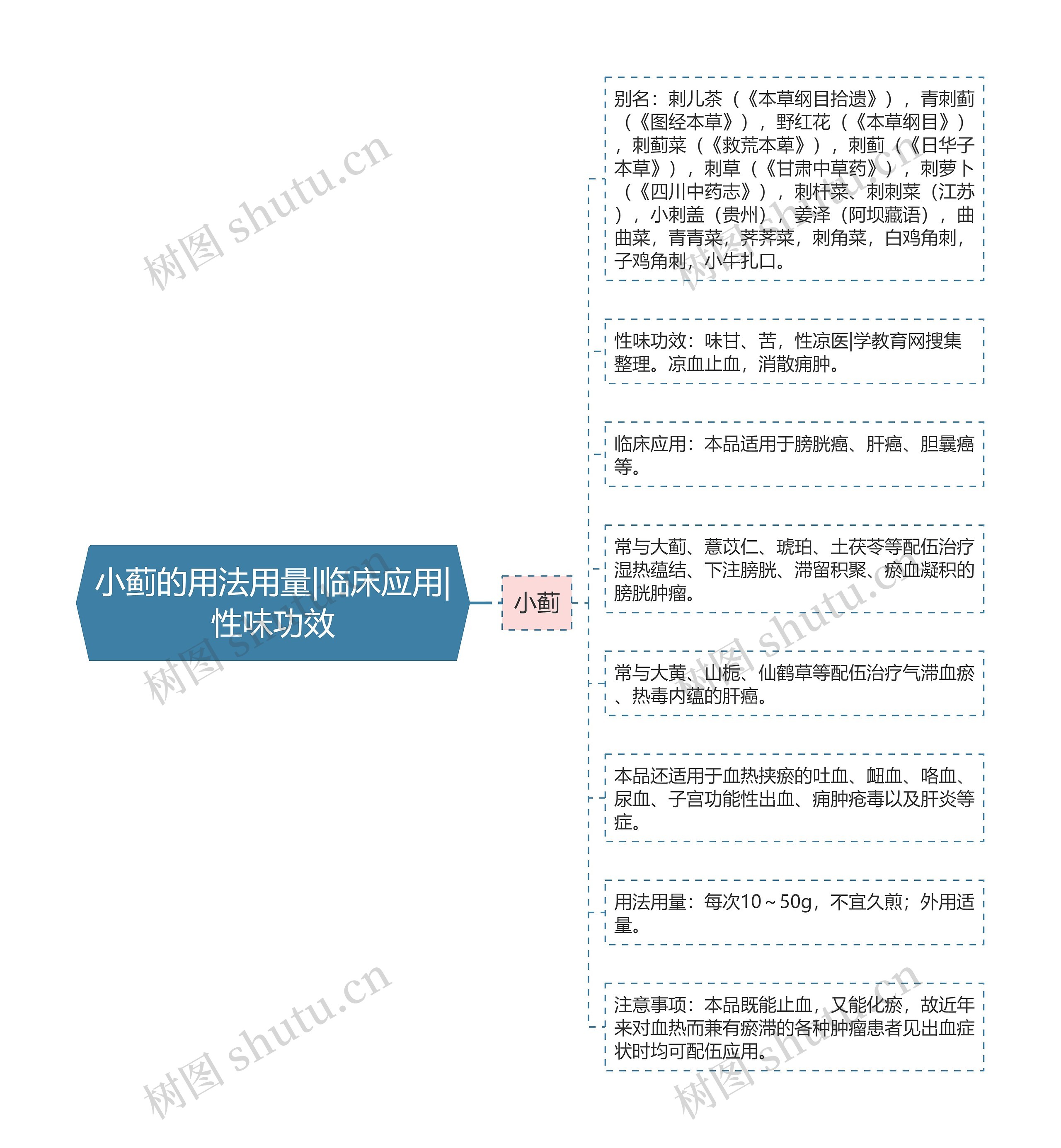 小蓟的用法用量|临床应用|性味功效