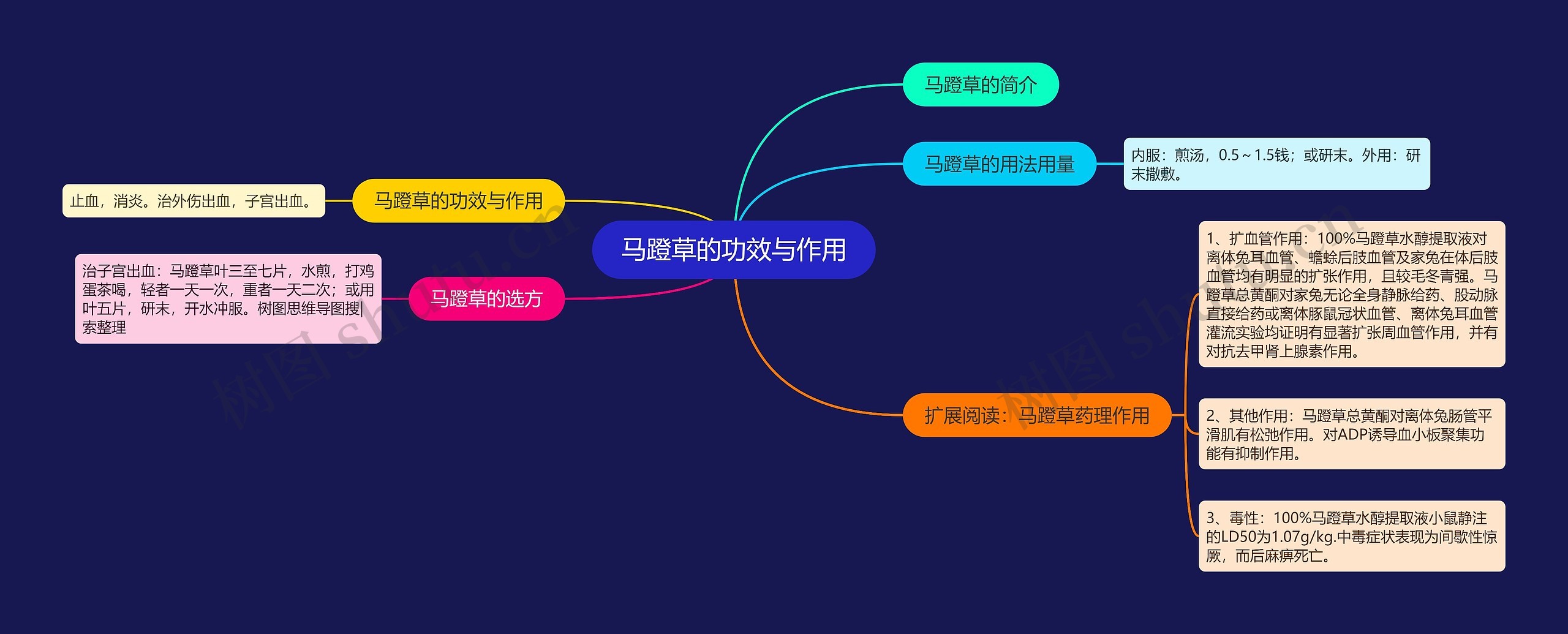 马蹬草的功效与作用思维导图