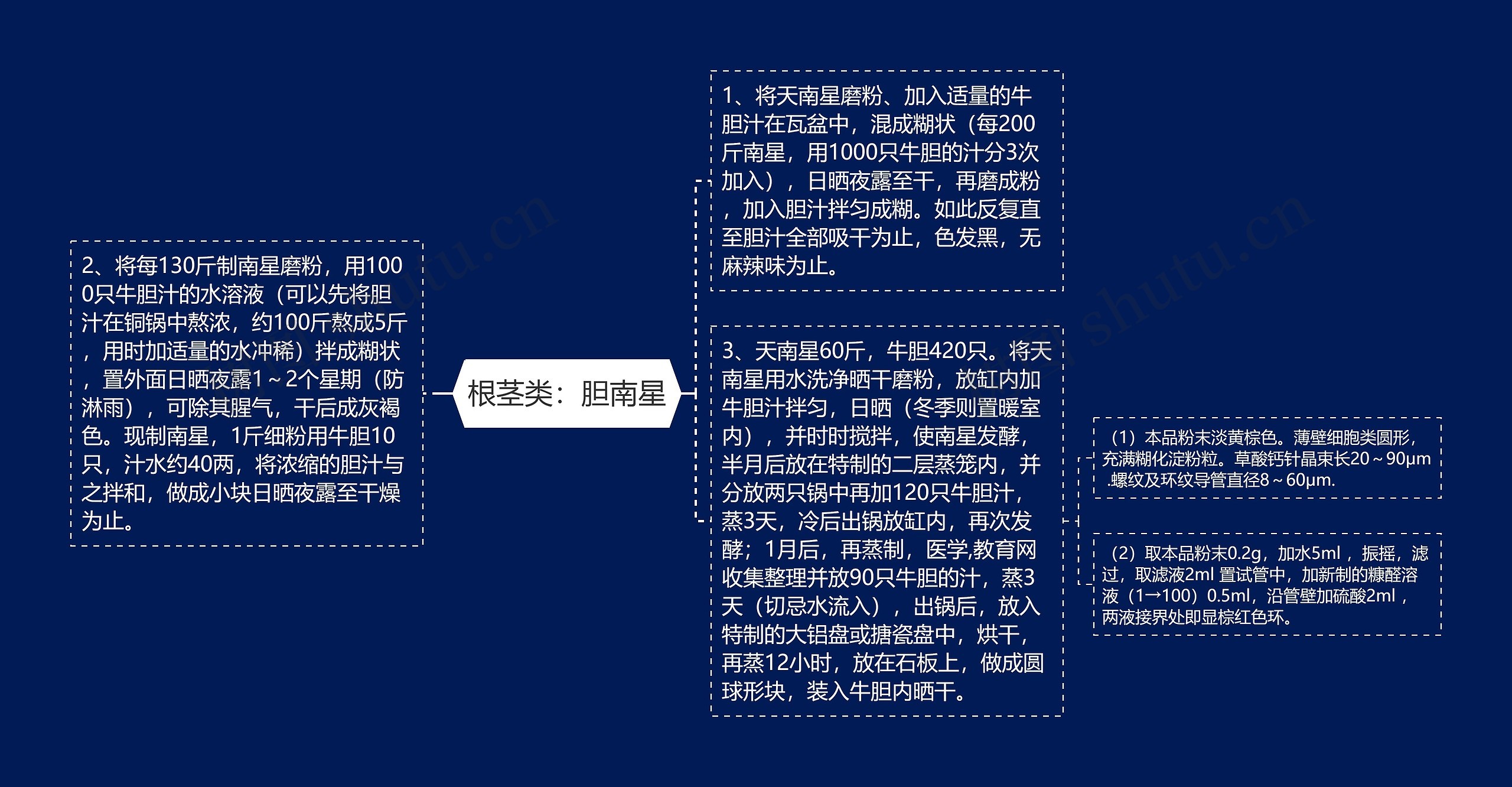 根茎类：胆南星思维导图