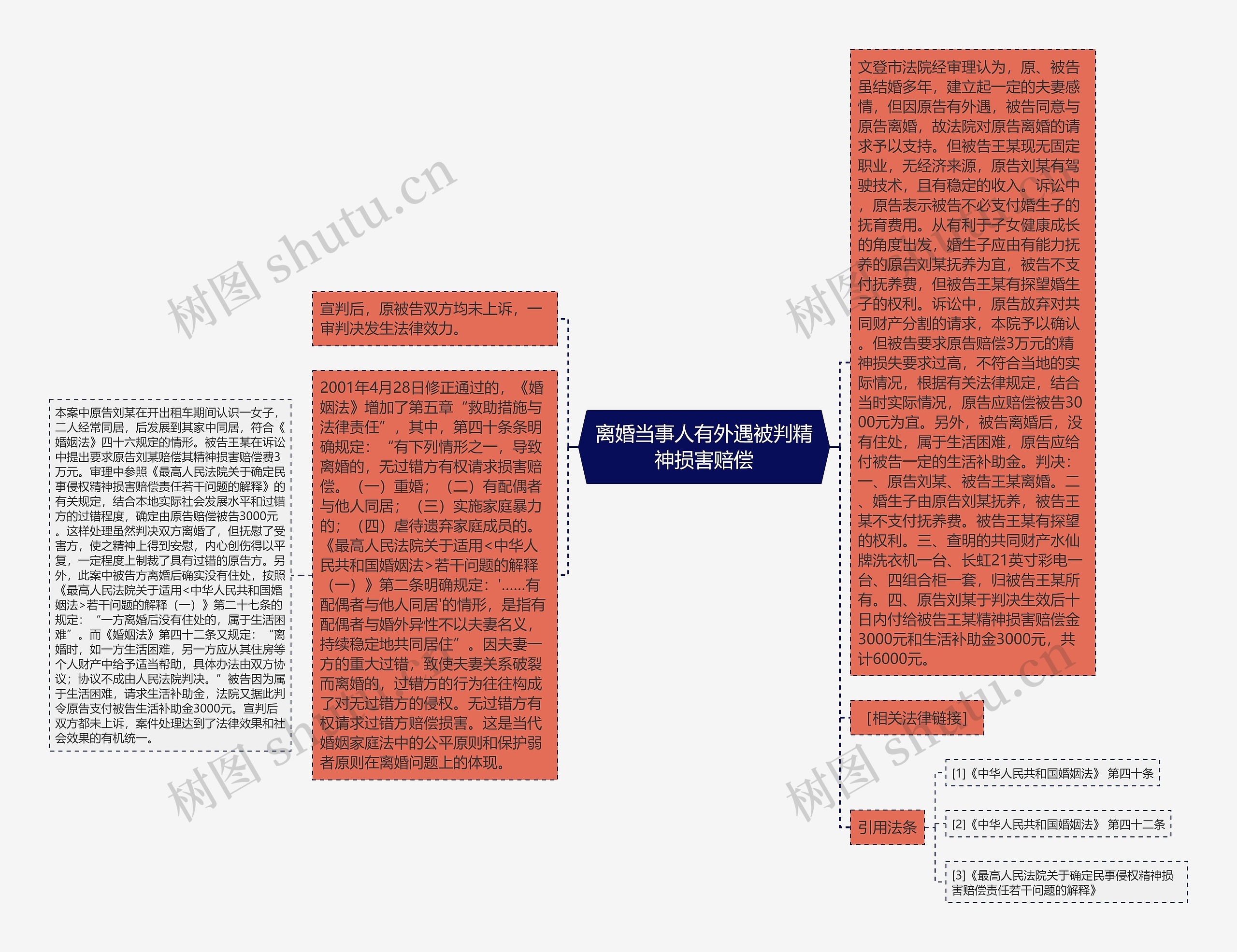 离婚当事人有外遇被判精神损害赔偿思维导图