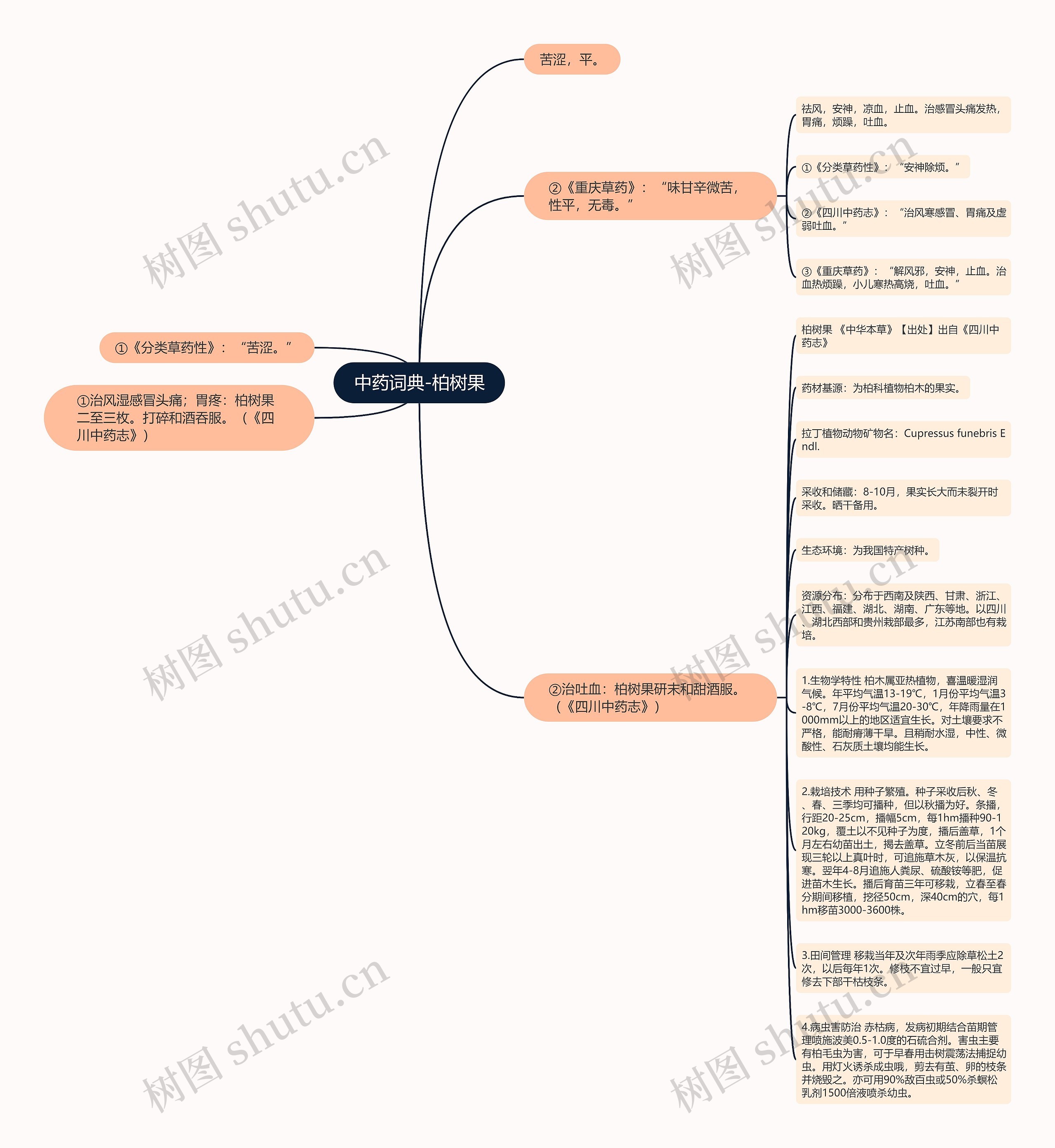 中药词典-柏树果思维导图