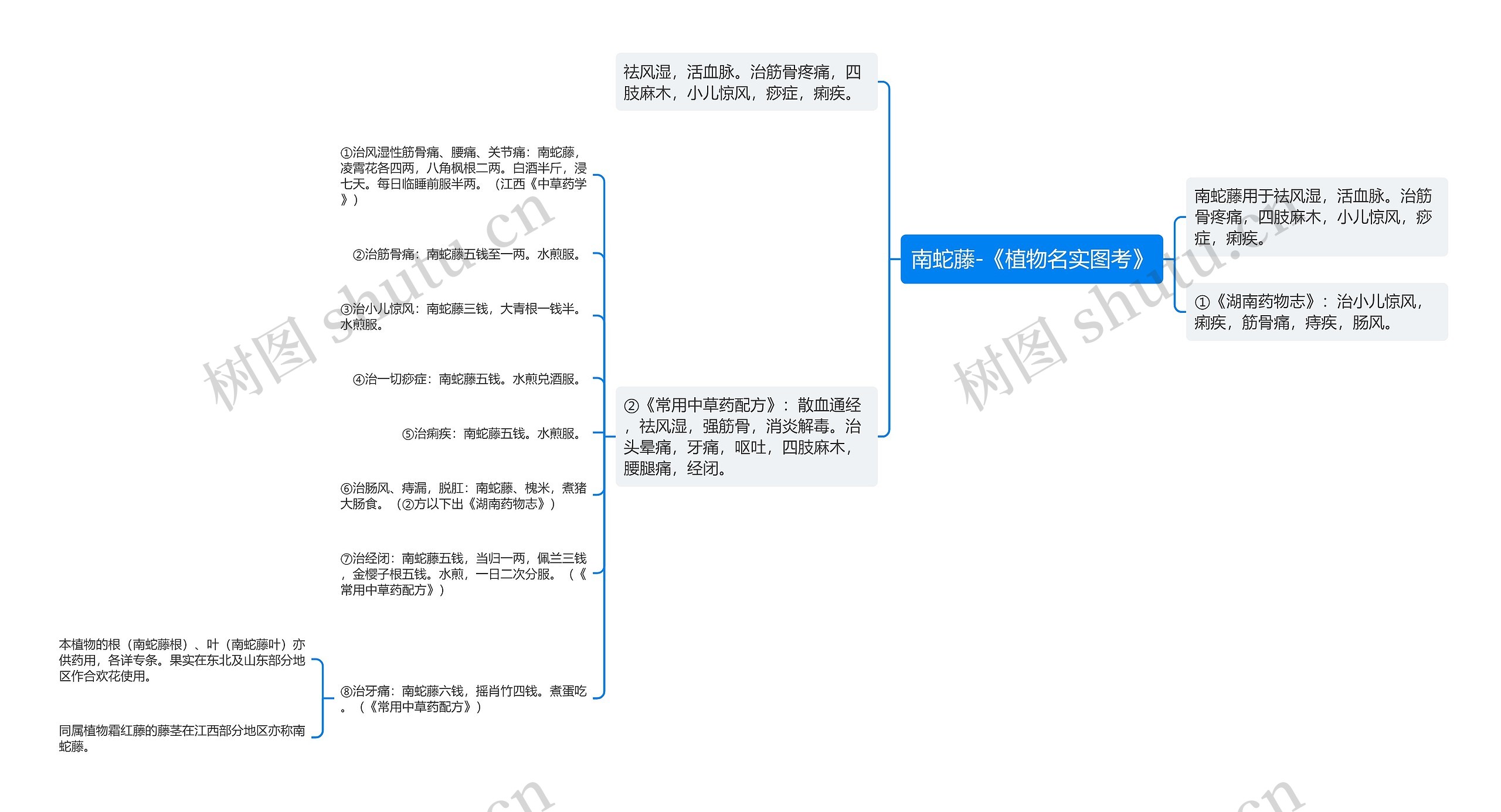 南蛇藤-《植物名实图考》