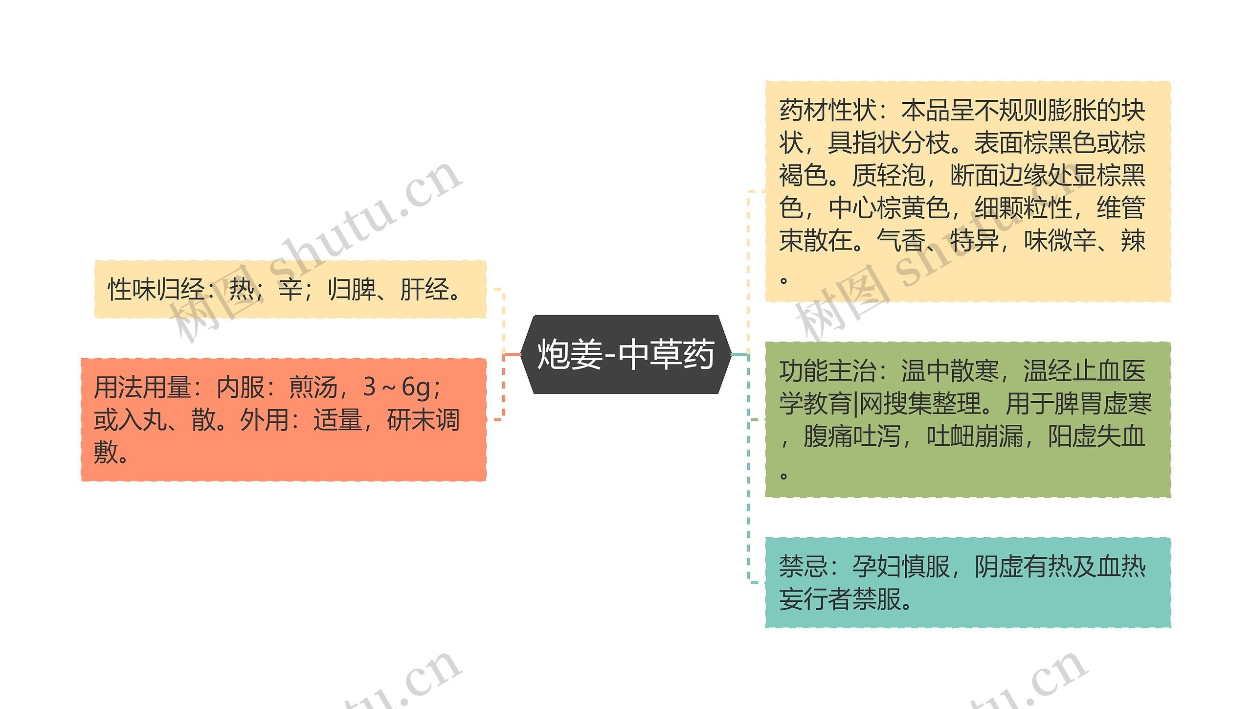 炮姜-中草药思维导图