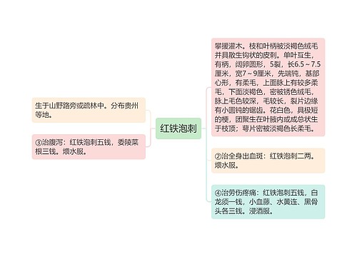 红铁泡刺