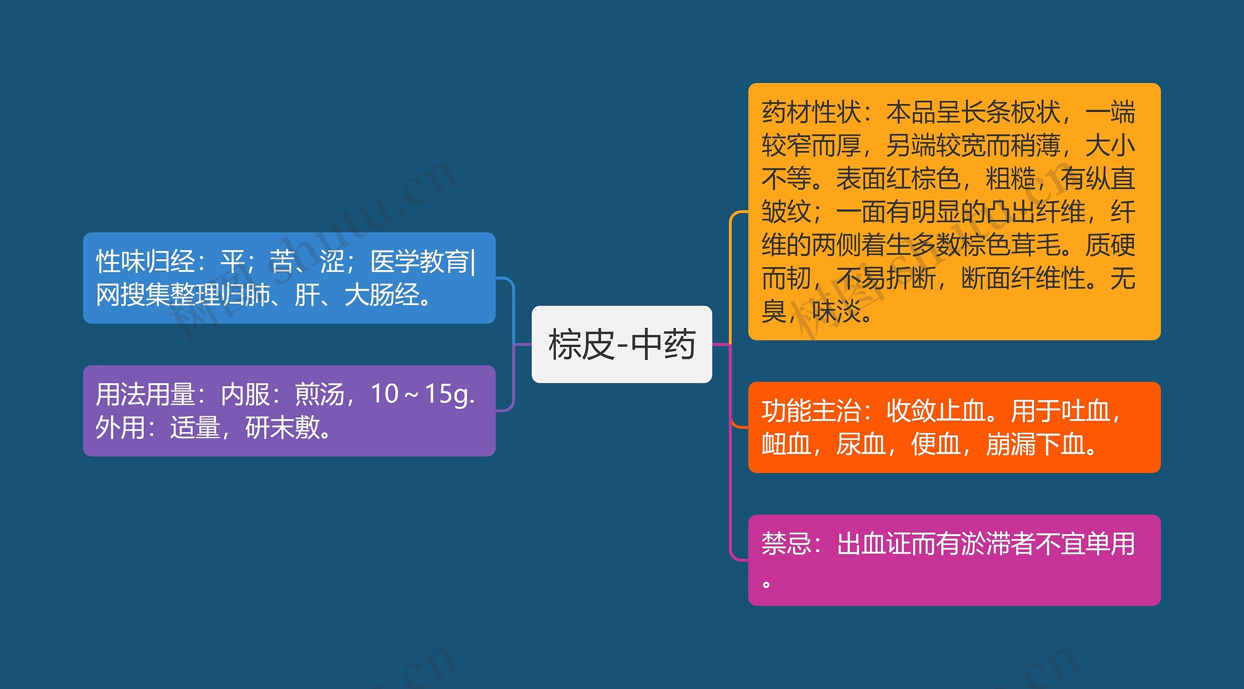 棕皮-中药思维导图