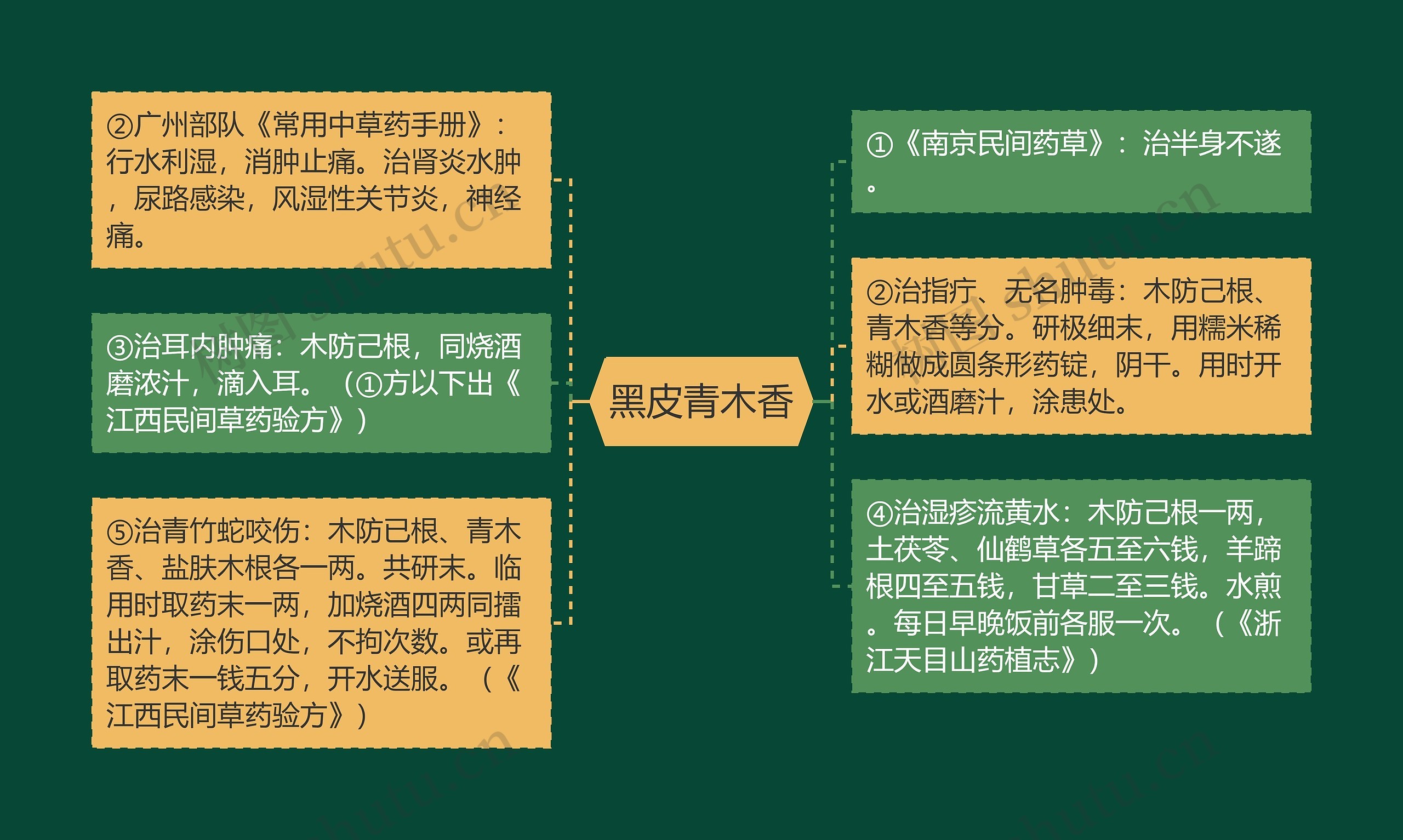 黑皮青木香思维导图