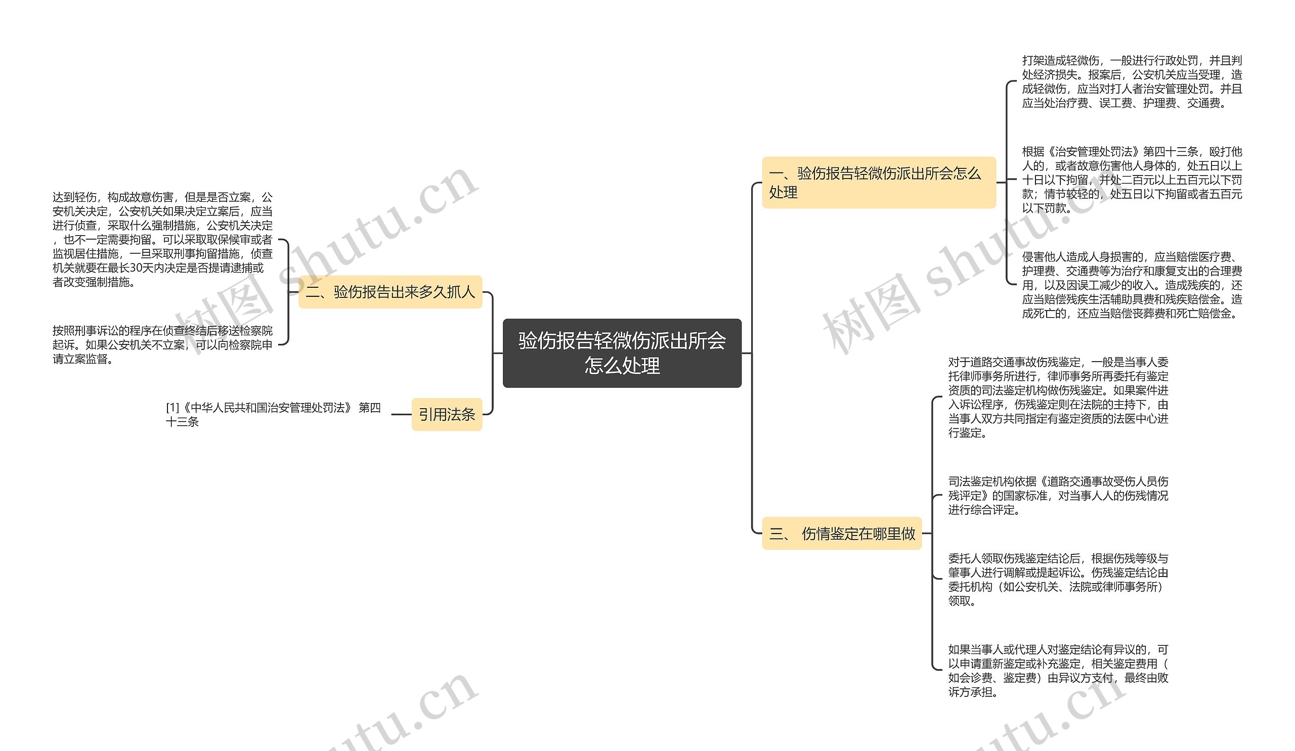 验伤报告轻微伤派出所会怎么处理