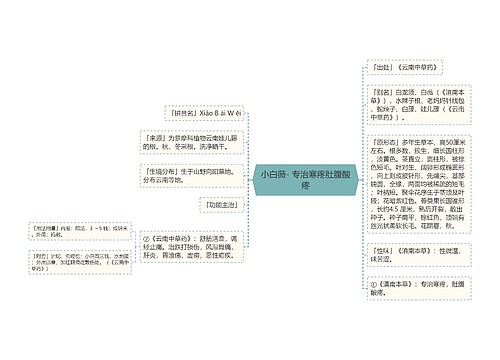 小白薇- 专治寒疼肚腹酸疼