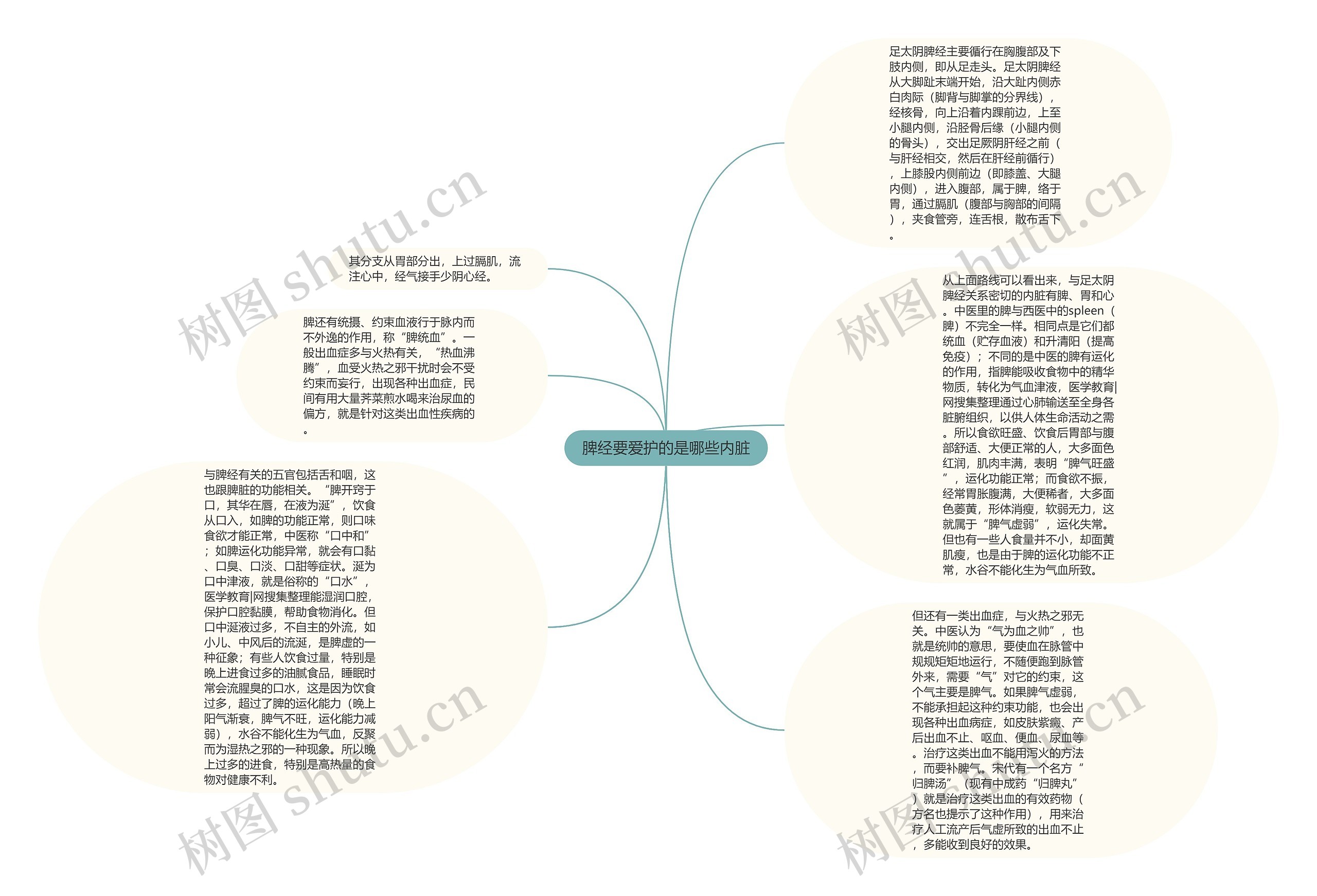 脾经要爱护的是哪些内脏思维导图