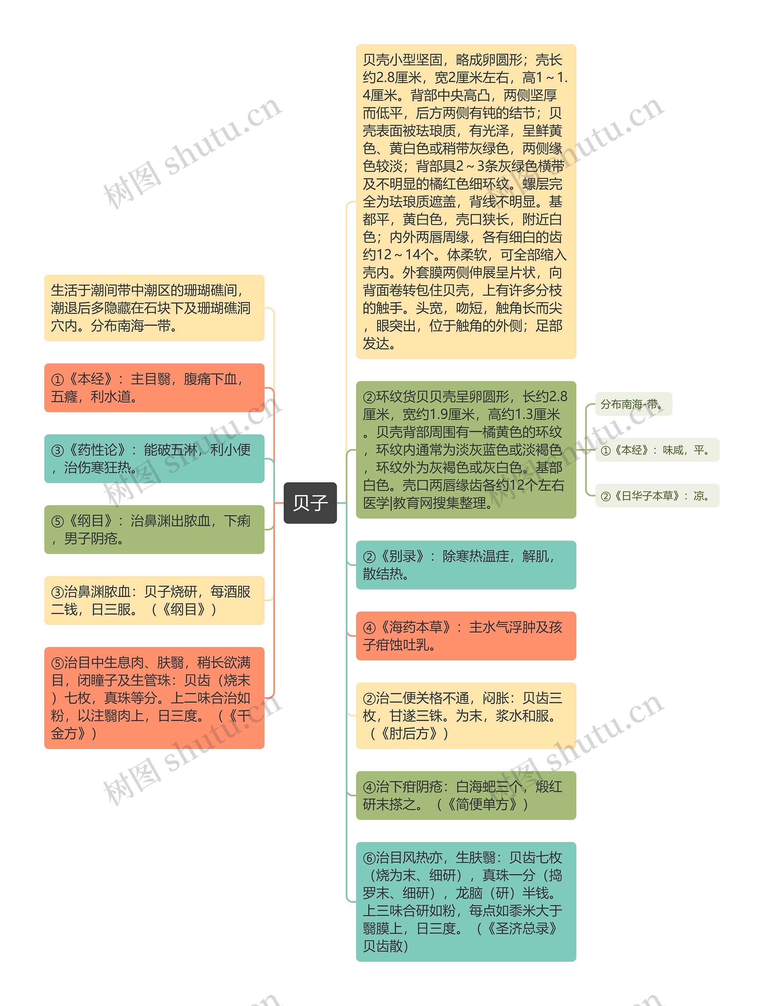 贝子思维导图