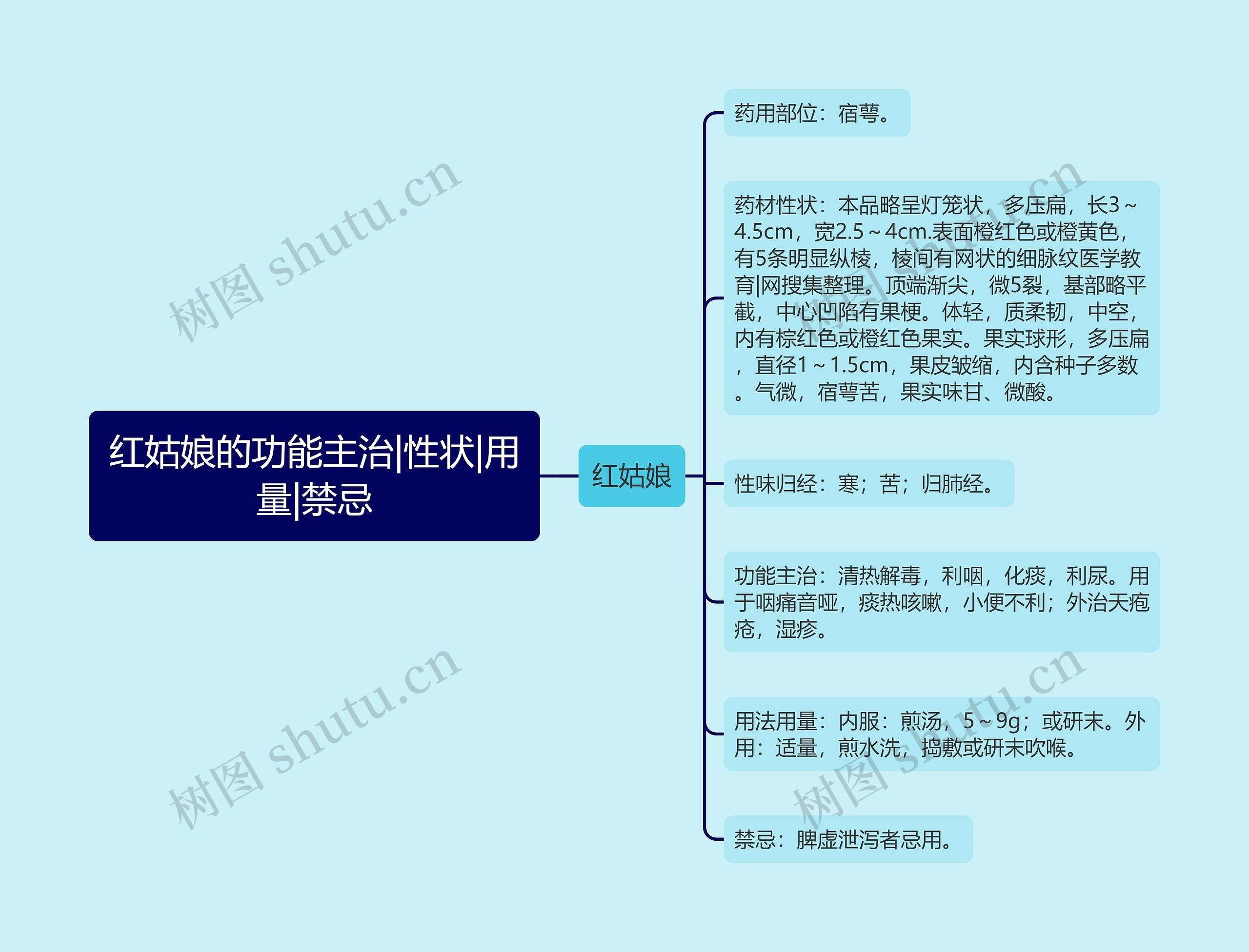 红姑娘的功能主治|性状|用量|禁忌