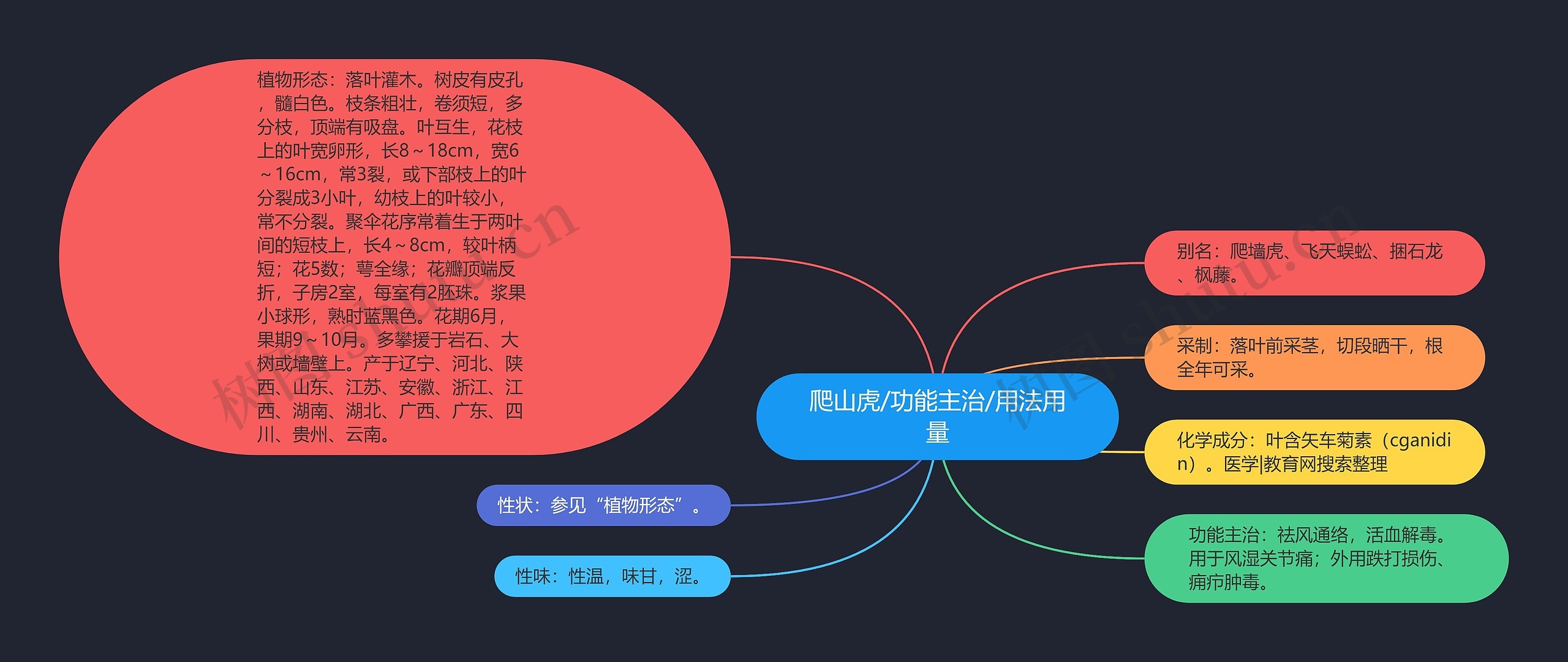 爬山虎/功能主治/用法用量