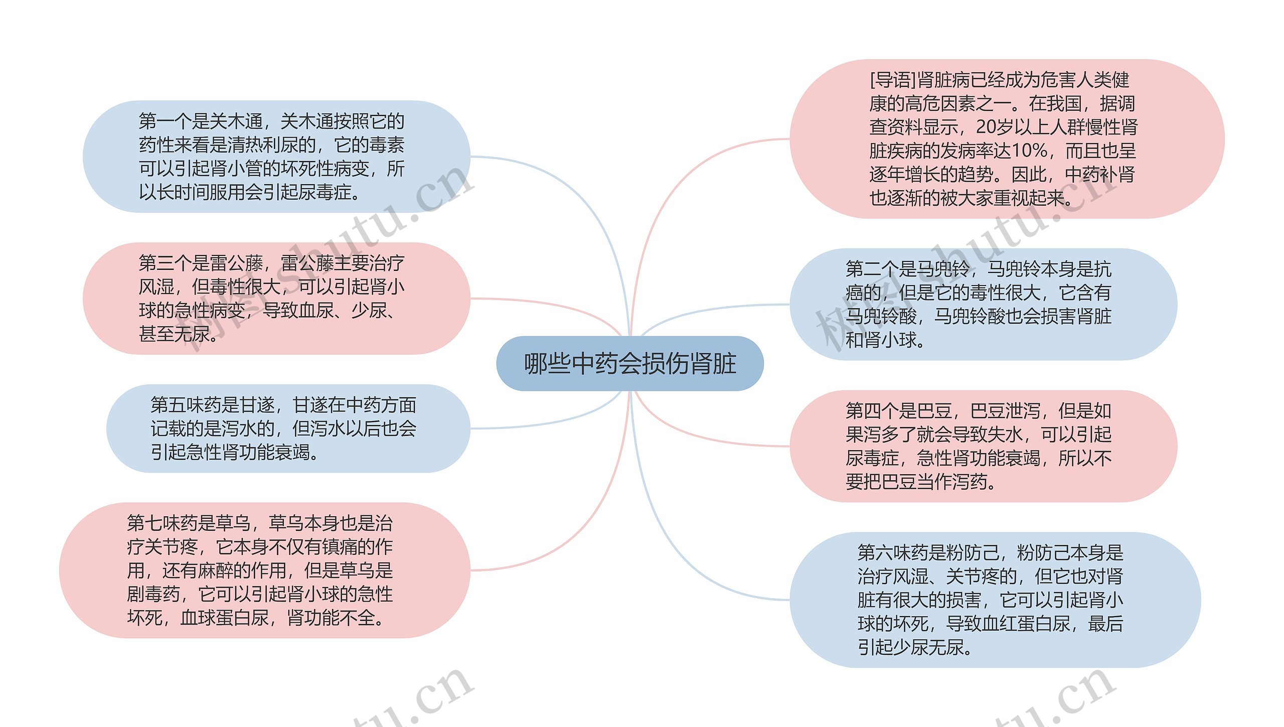 哪些中药会损伤肾脏