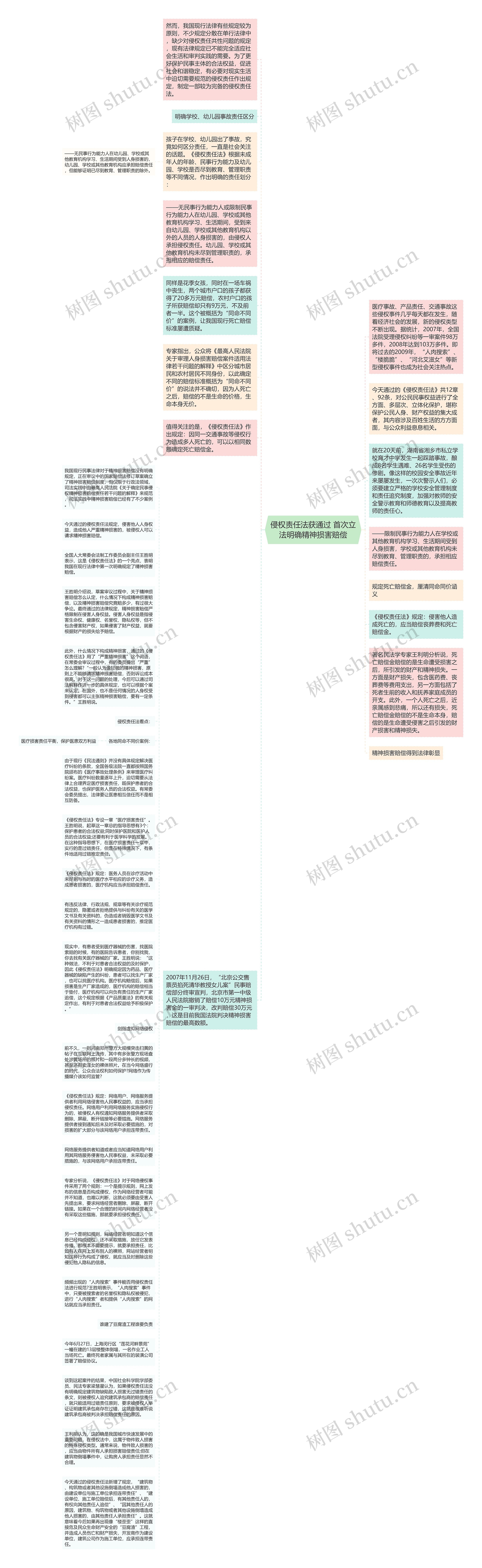 侵权责任法获通过 首次立法明确精神损害赔偿